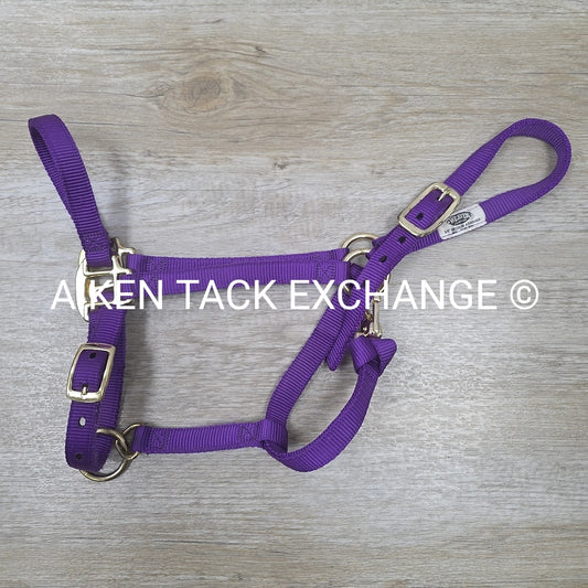 Weaver Leather Nylon Halter, Size Medium Arab