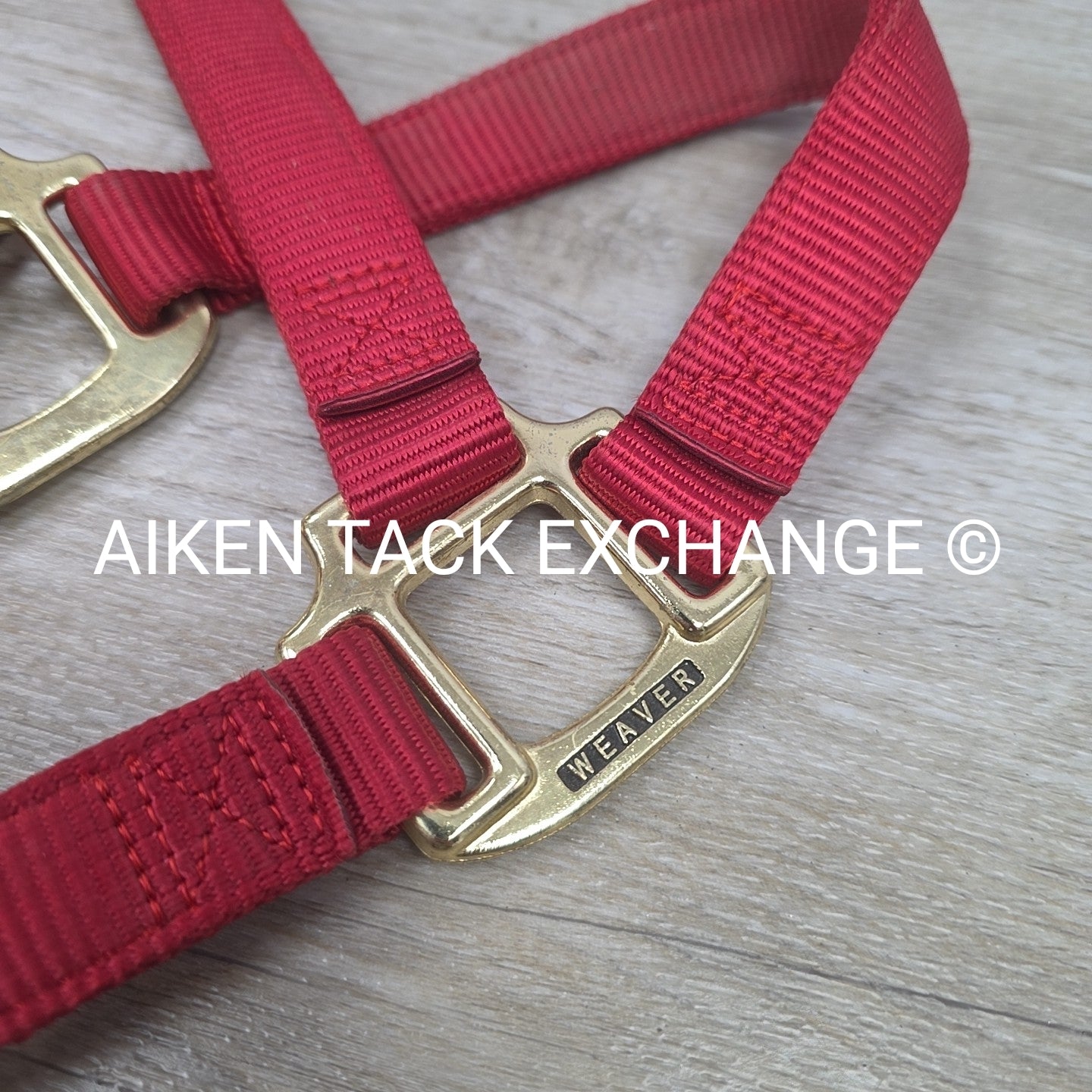 Weaver Nylon Halter, Average Horse