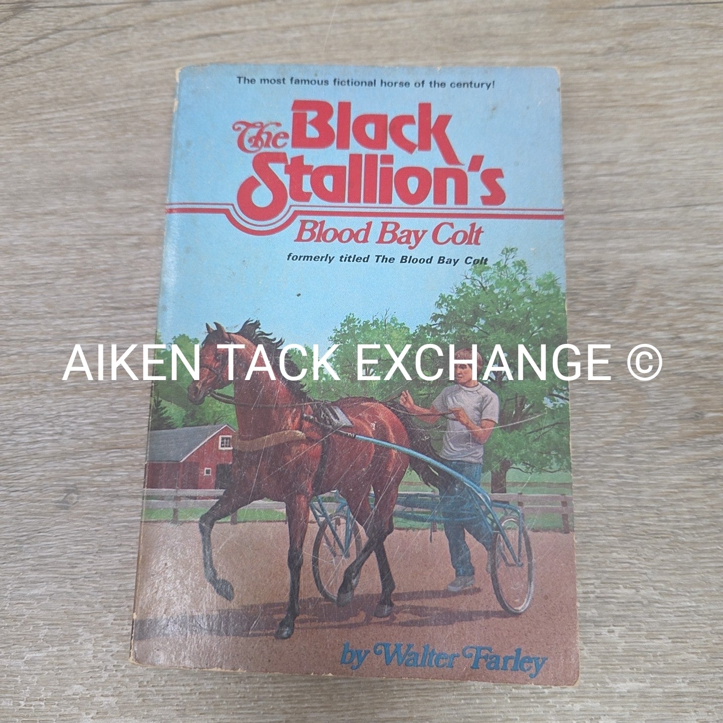 The Black Stallion's Blood Bay Colt by Walter Farley