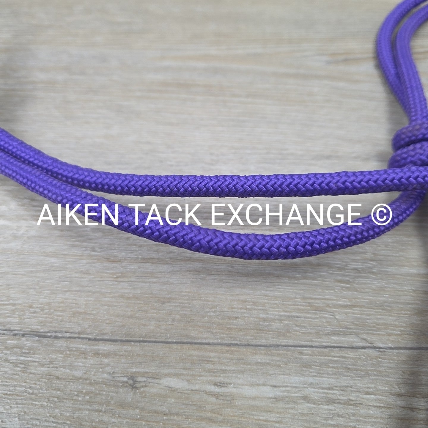Rope Halter with Lead