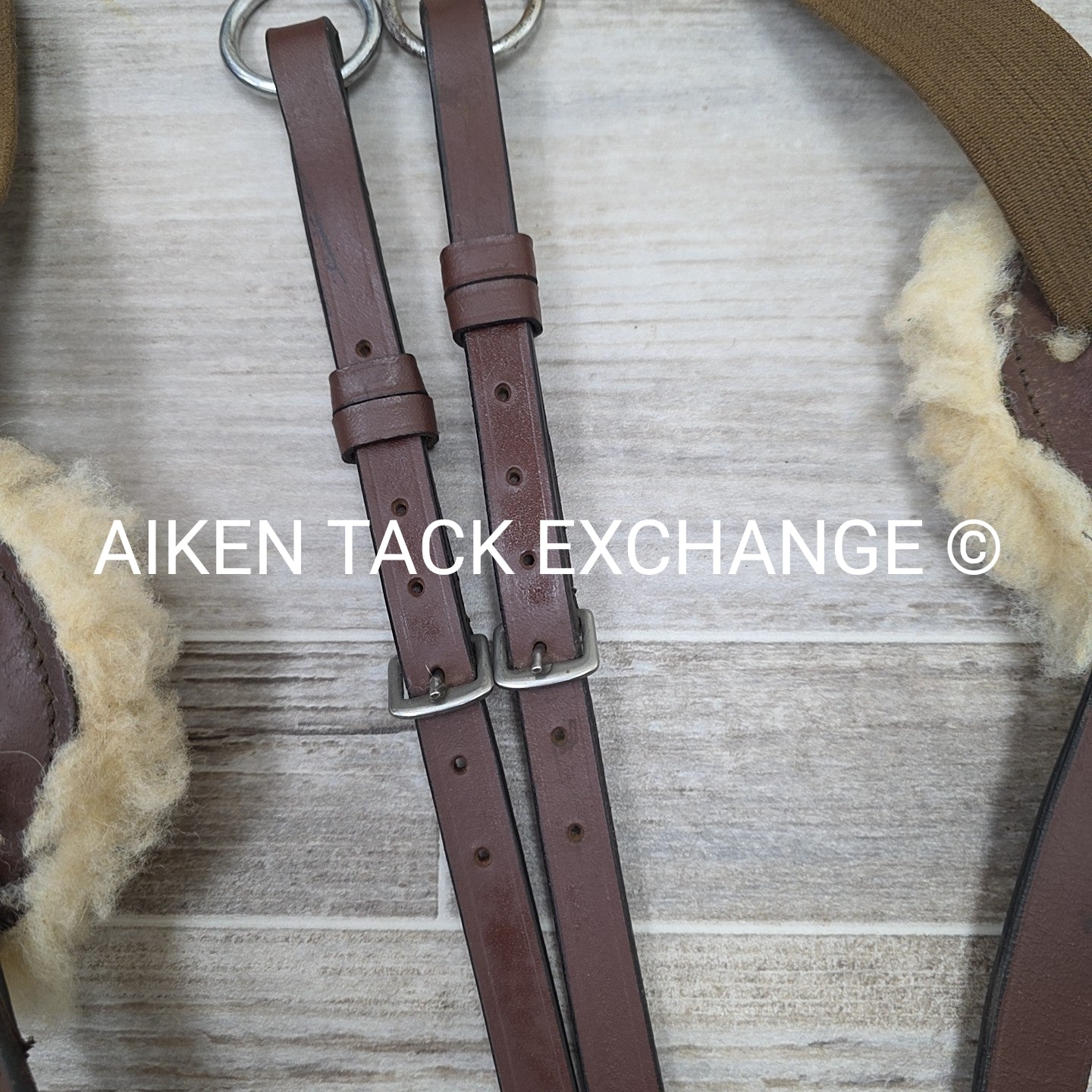5 Point Breastplate with Running Martingale Attachment, Brown, Size Full
