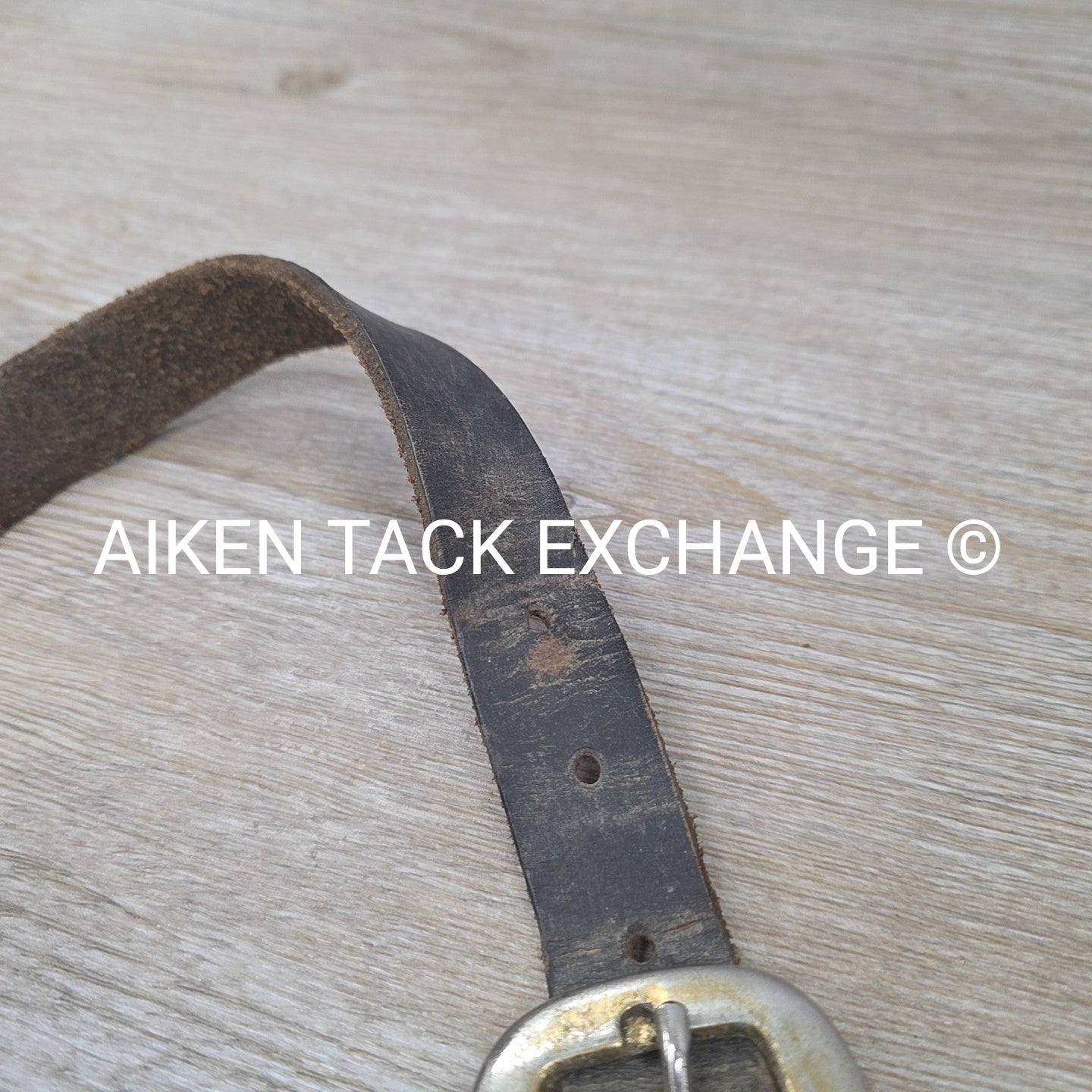 BARGAIN BUNDLE: Perri's Breakaway Halter, & Web Halter, Size Full