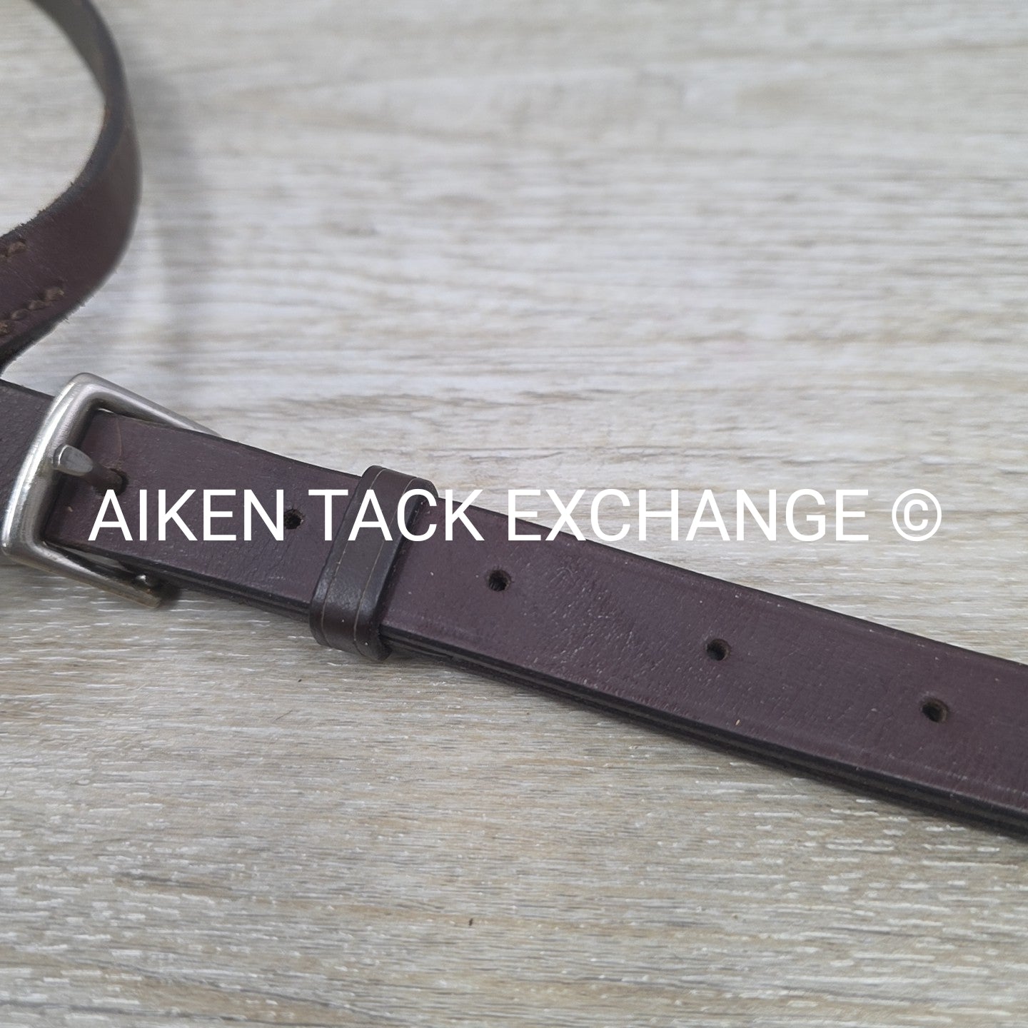 Courbette Standing Martingale, Brown, Size Cob