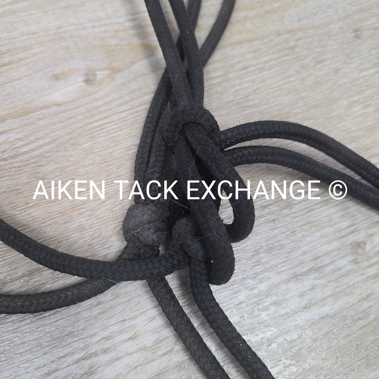 BARGAIN BUNDLE: 3 Rope Halters & 2 Leads