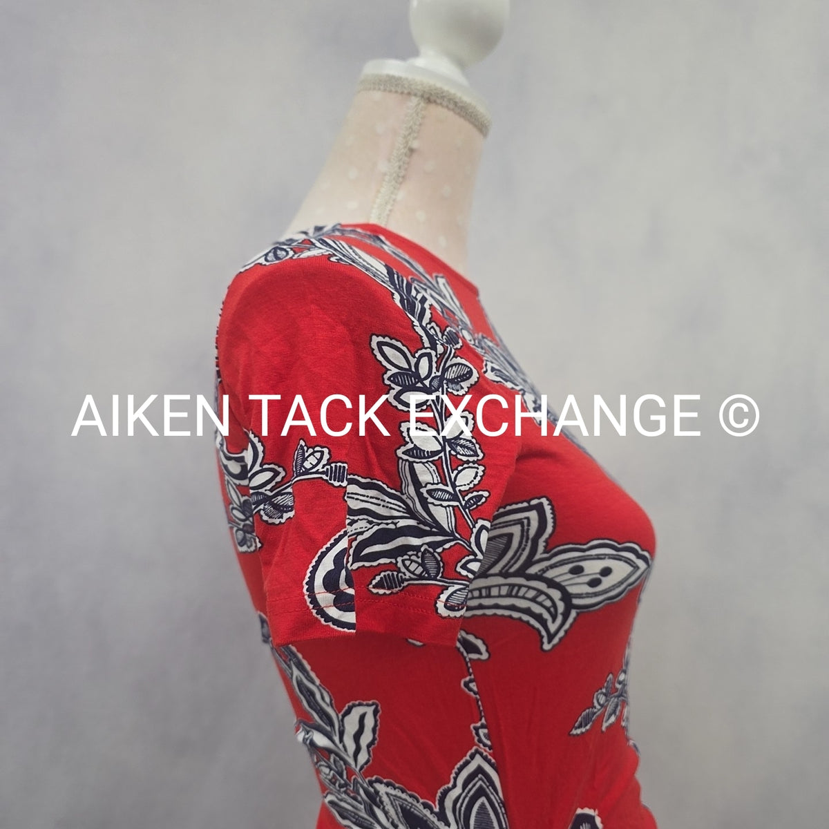 Venus T-Shirt Dress, Size X-Small