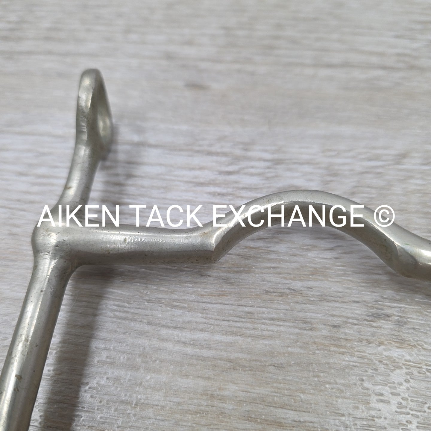 Never Rust Long Shank Bit 5" (No Hooks & Curb Chain)