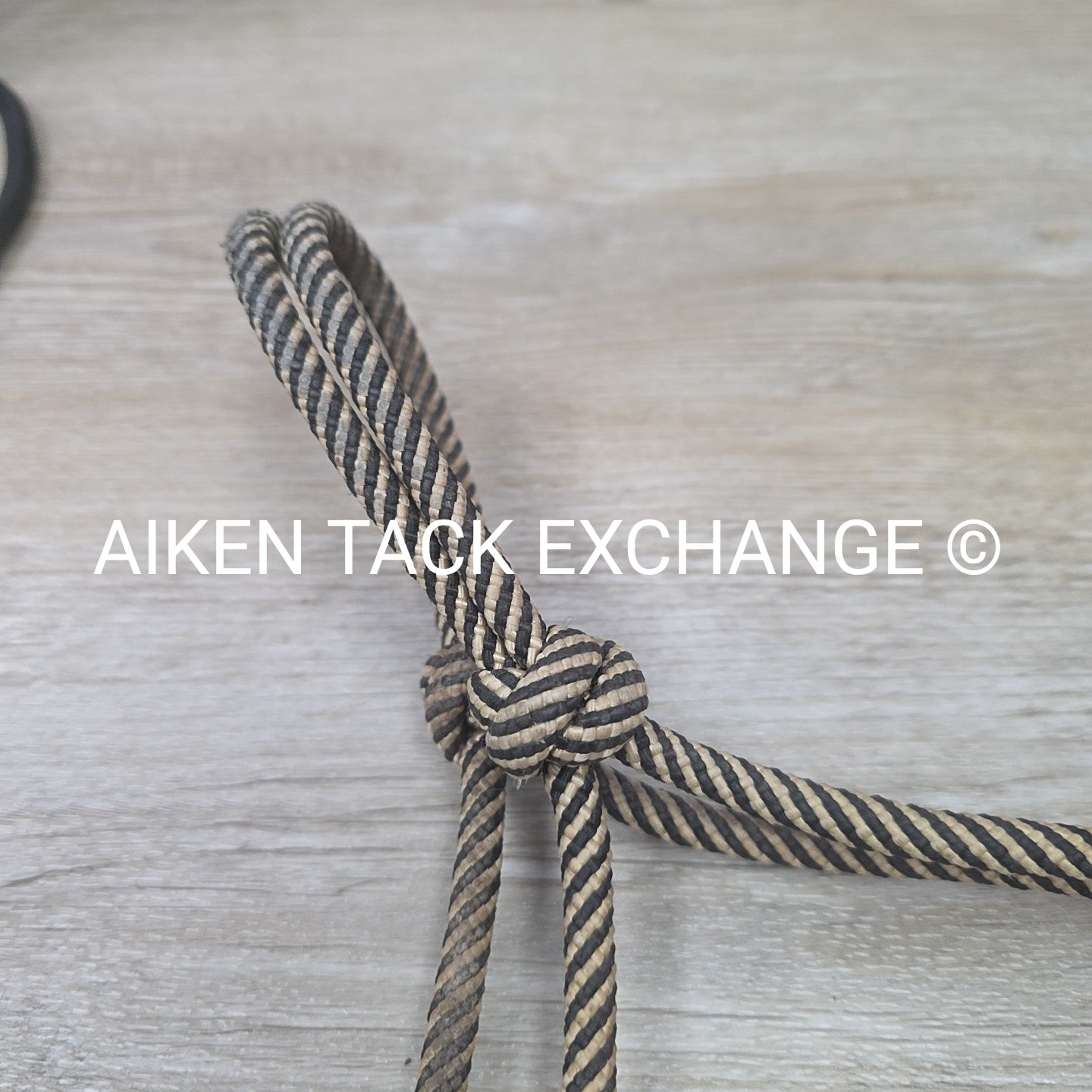 BARGAIN BUNDLE: 3 Rope Halters, 1 with Lead