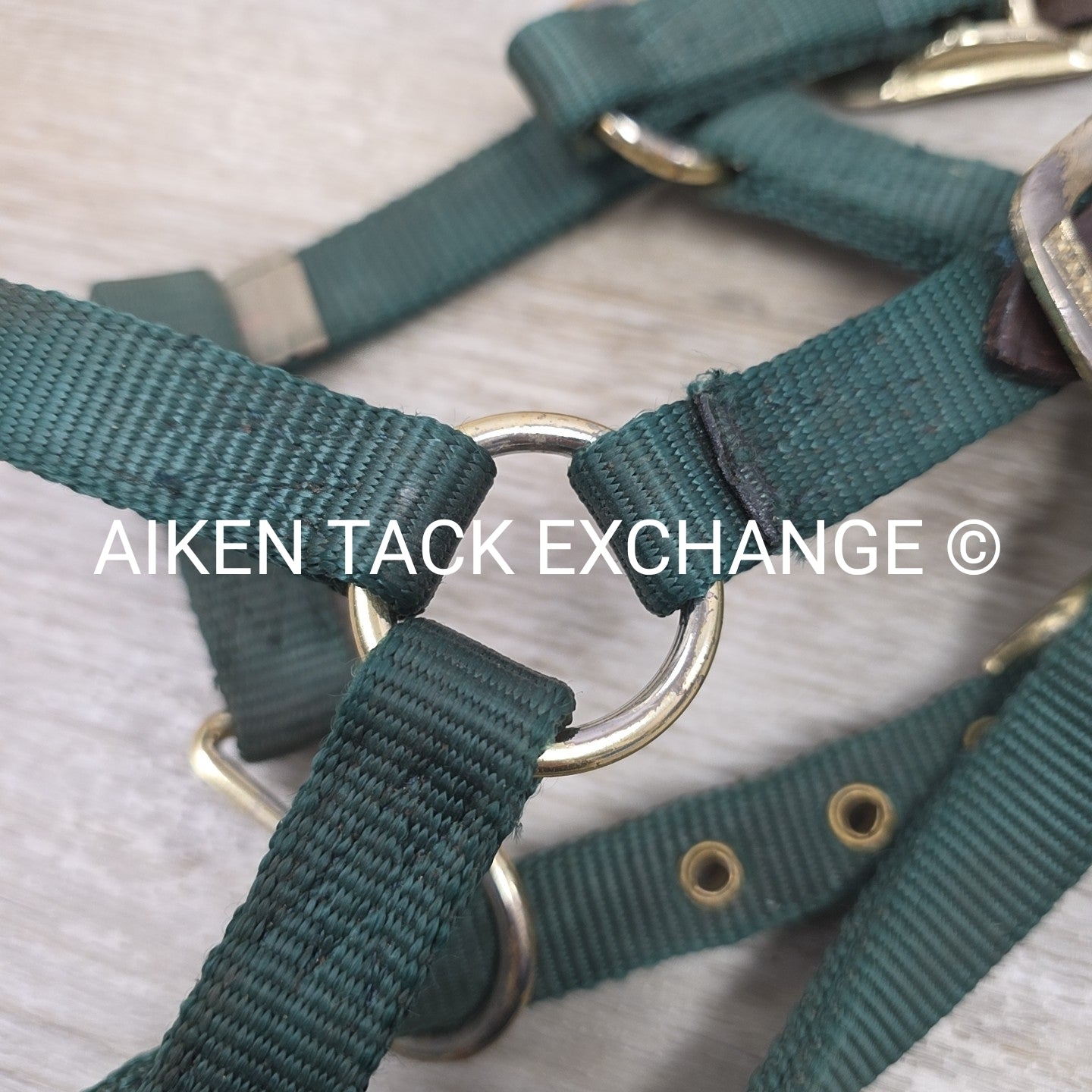 Hamilton Nylon Breakaway Halter, Size Foal