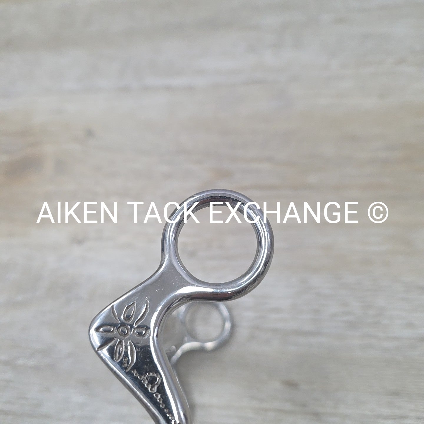 Mullen Mouth Shanked Bit 4.75"