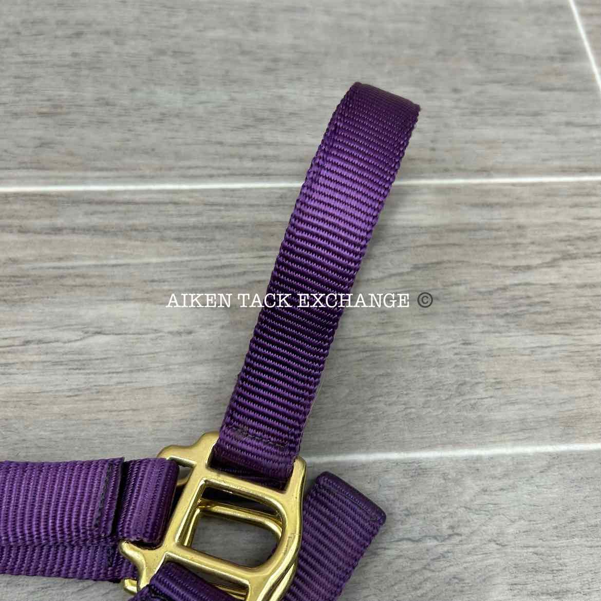 Dover Saddlery Heavy Nylon Halter, Oversize