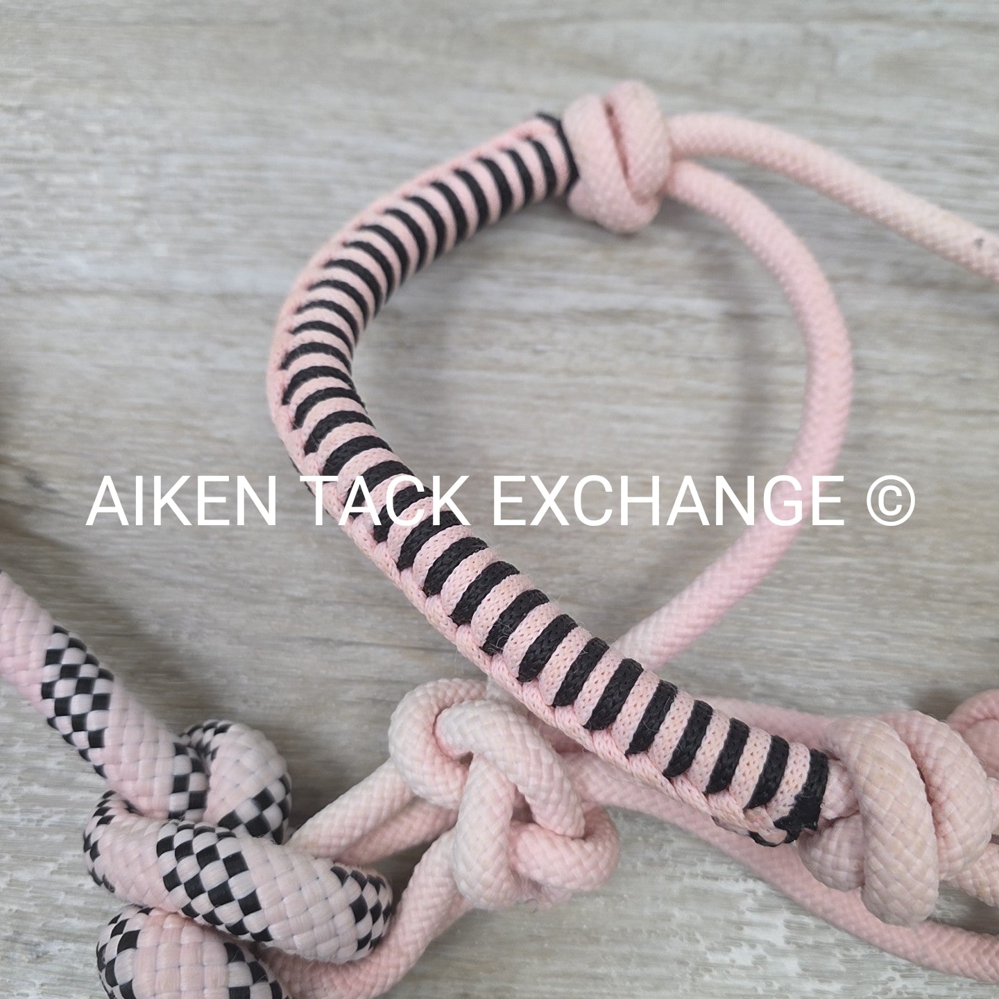 Rope Halter with Lead Rope