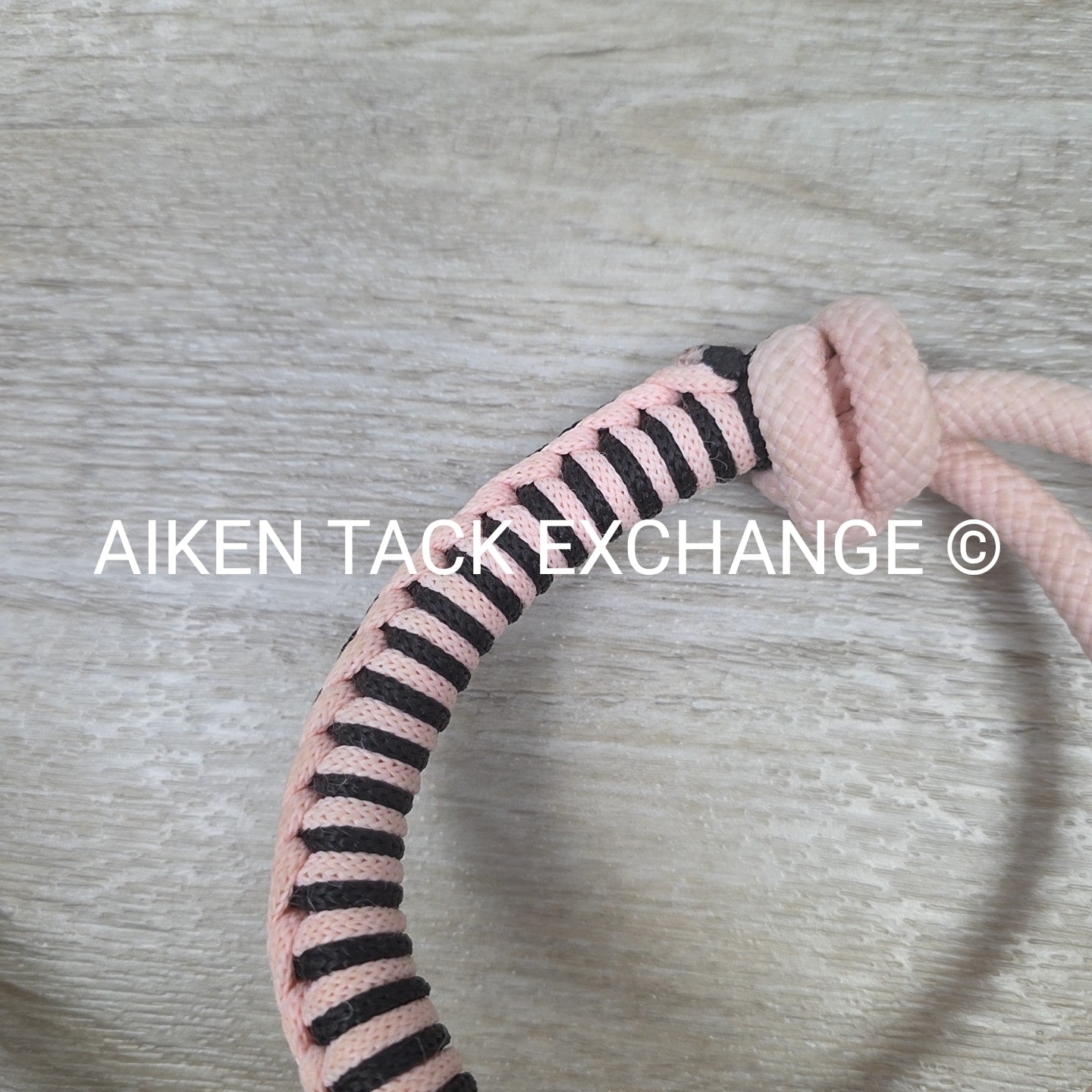 Rope Halter with Lead Rope