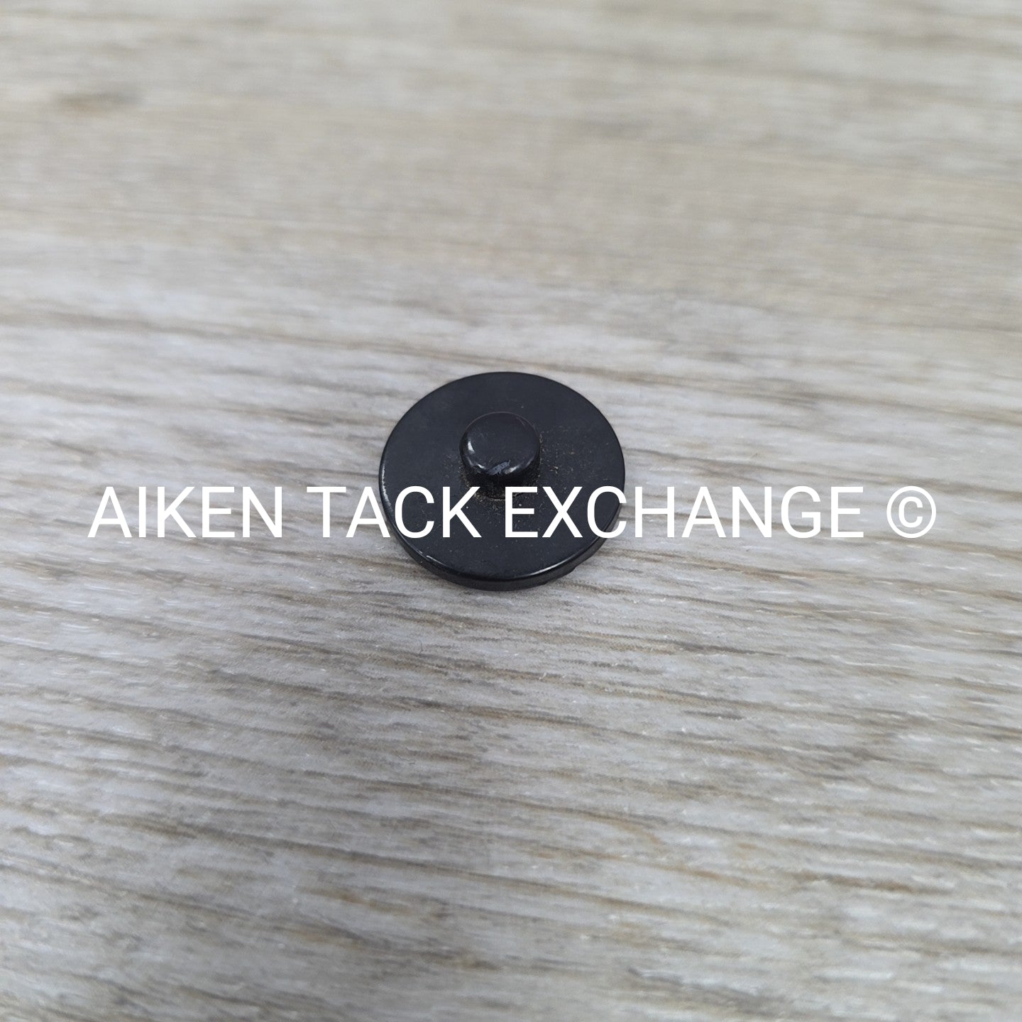 Monmouth County Hunt Buttons, Large