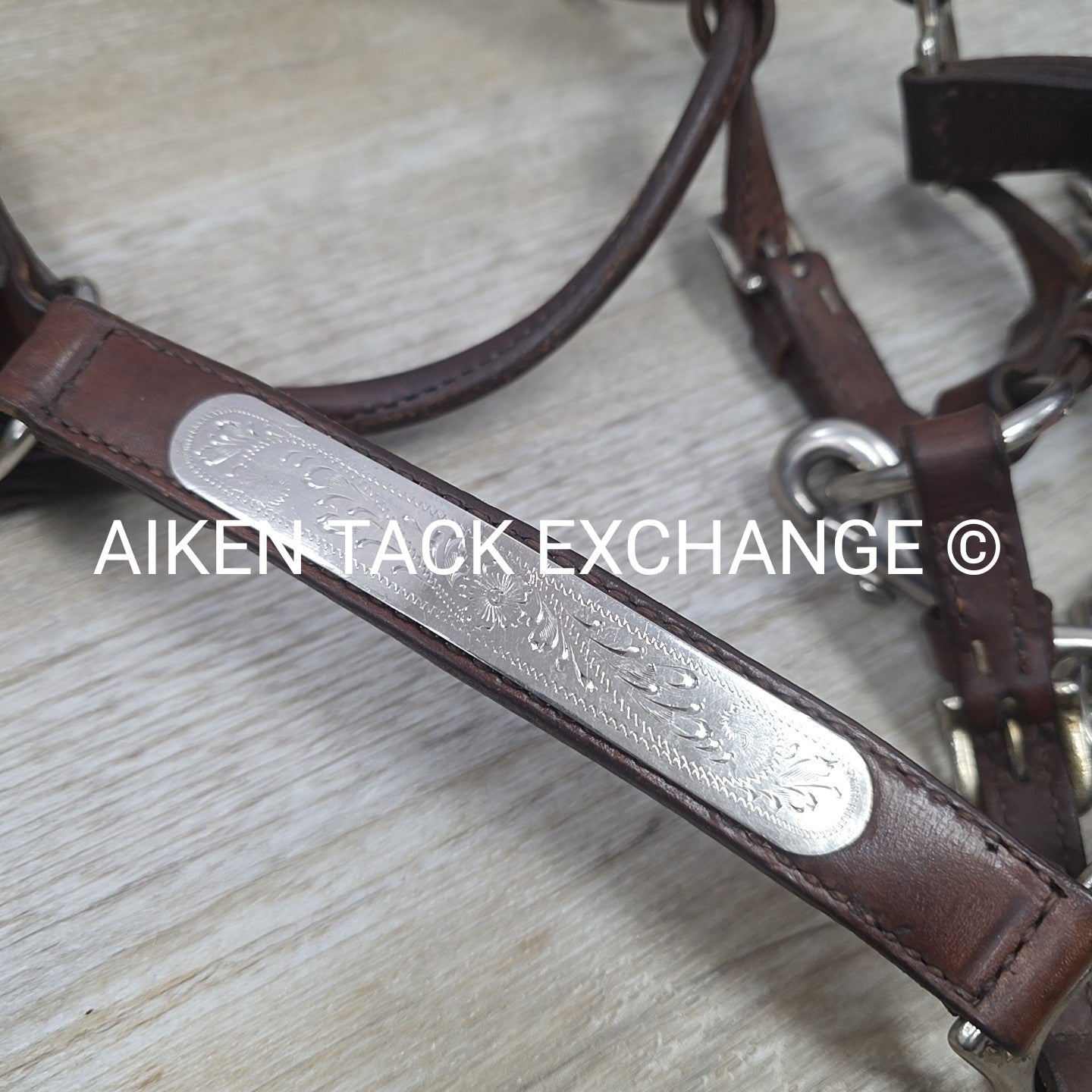 Circle Y Engraved Show Halter with Matching Lead, Size Full