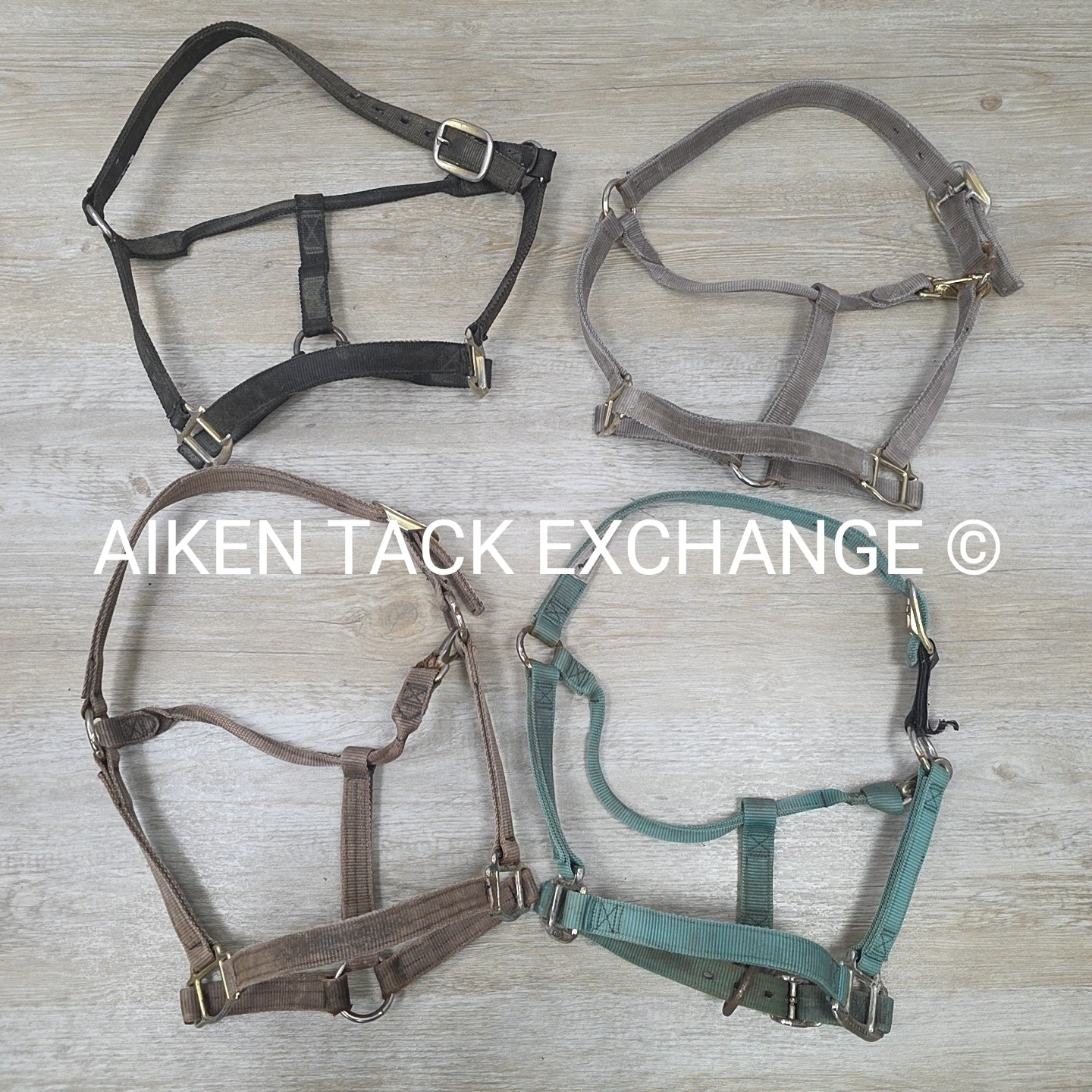 BARGAIN BUNDLE: 4 Weaver Leather Nylon Halters, Size Horse