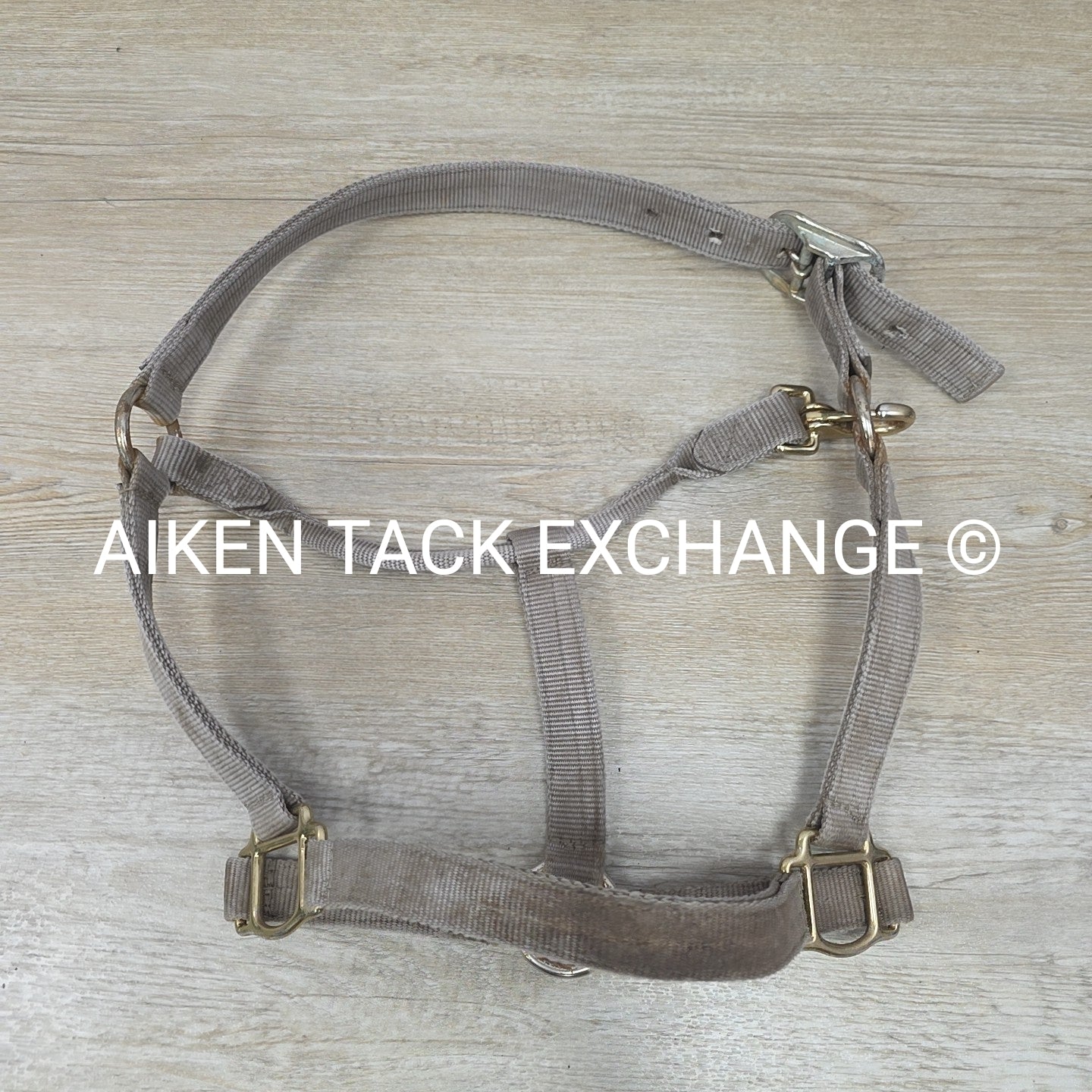 BARGAIN BUNDLE 5 Weaver Leather Nylon Halters, Size Horse