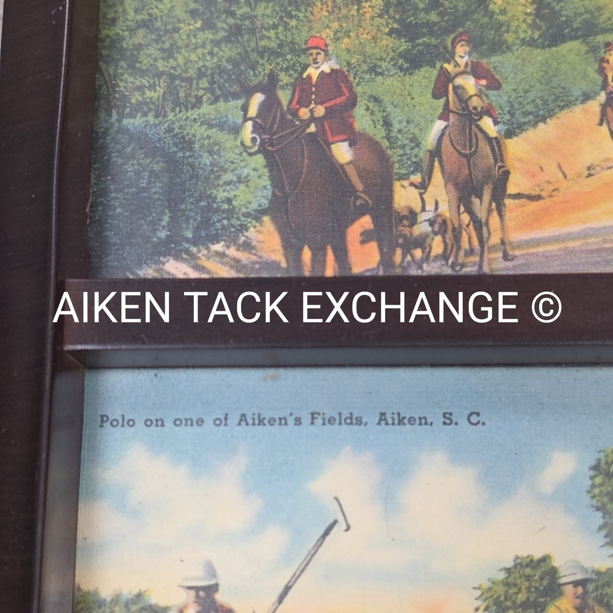 Aiken Equestrian Collage, 6" x 11"