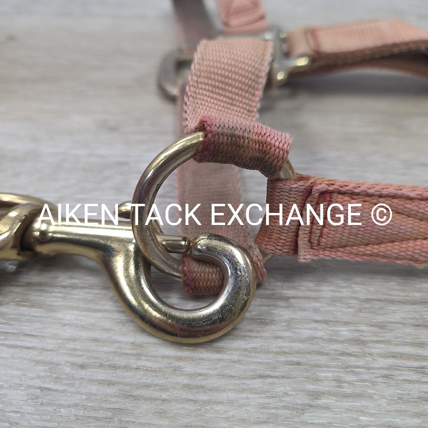 BARGAIN BUNDLE: Nylon Halter, Size Small with Lead Rope