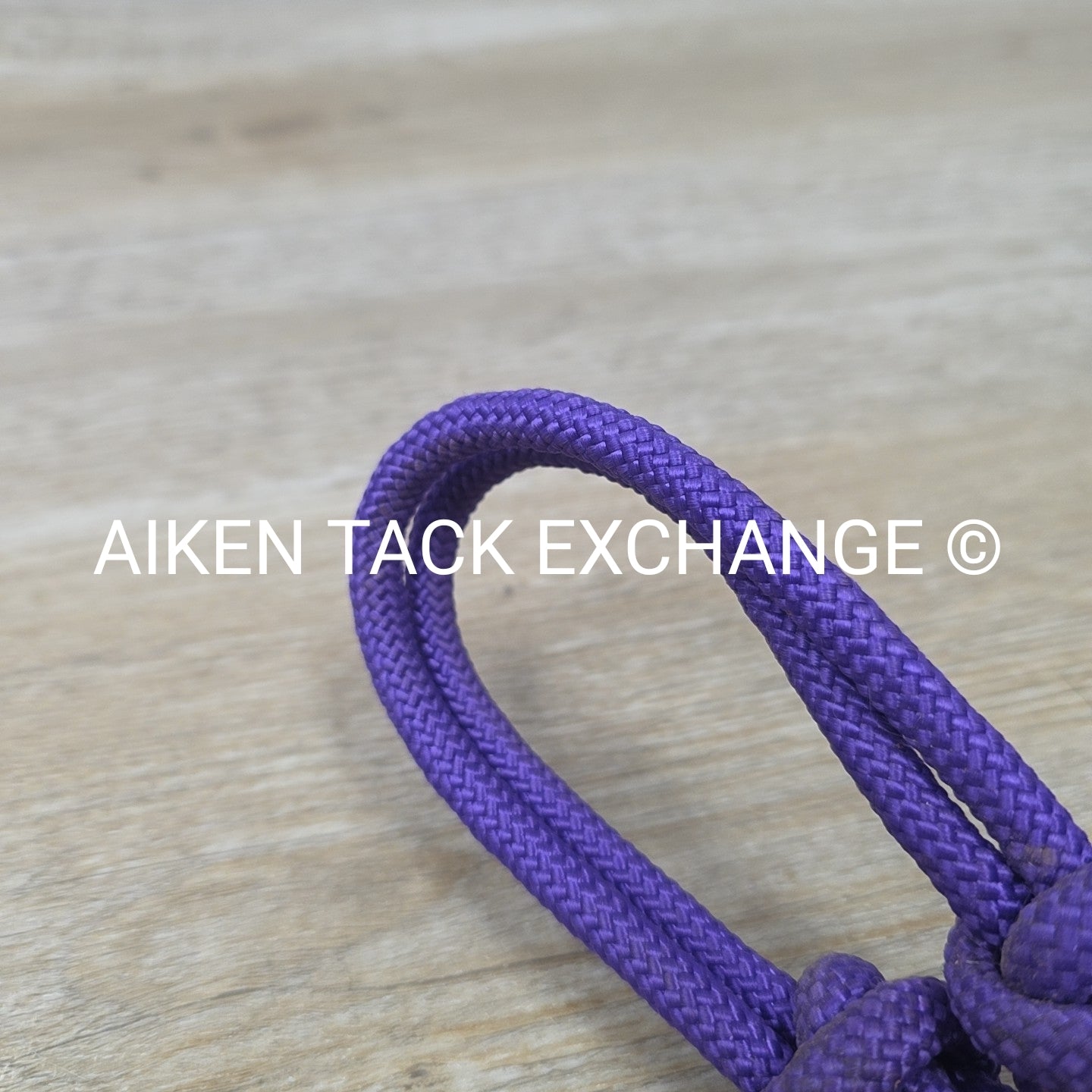 Rope Halter with Lead