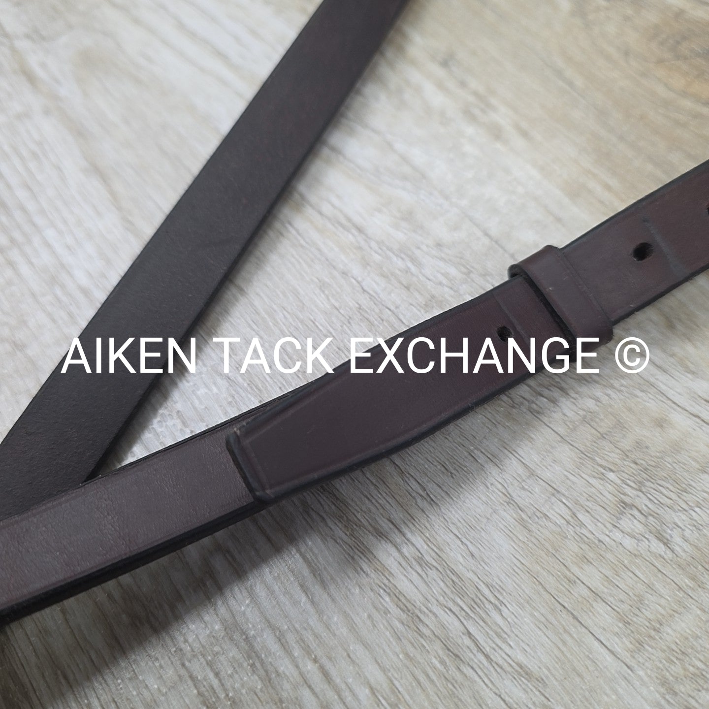 Horse Country First Flight Standing Martingale, Brown, Oversize