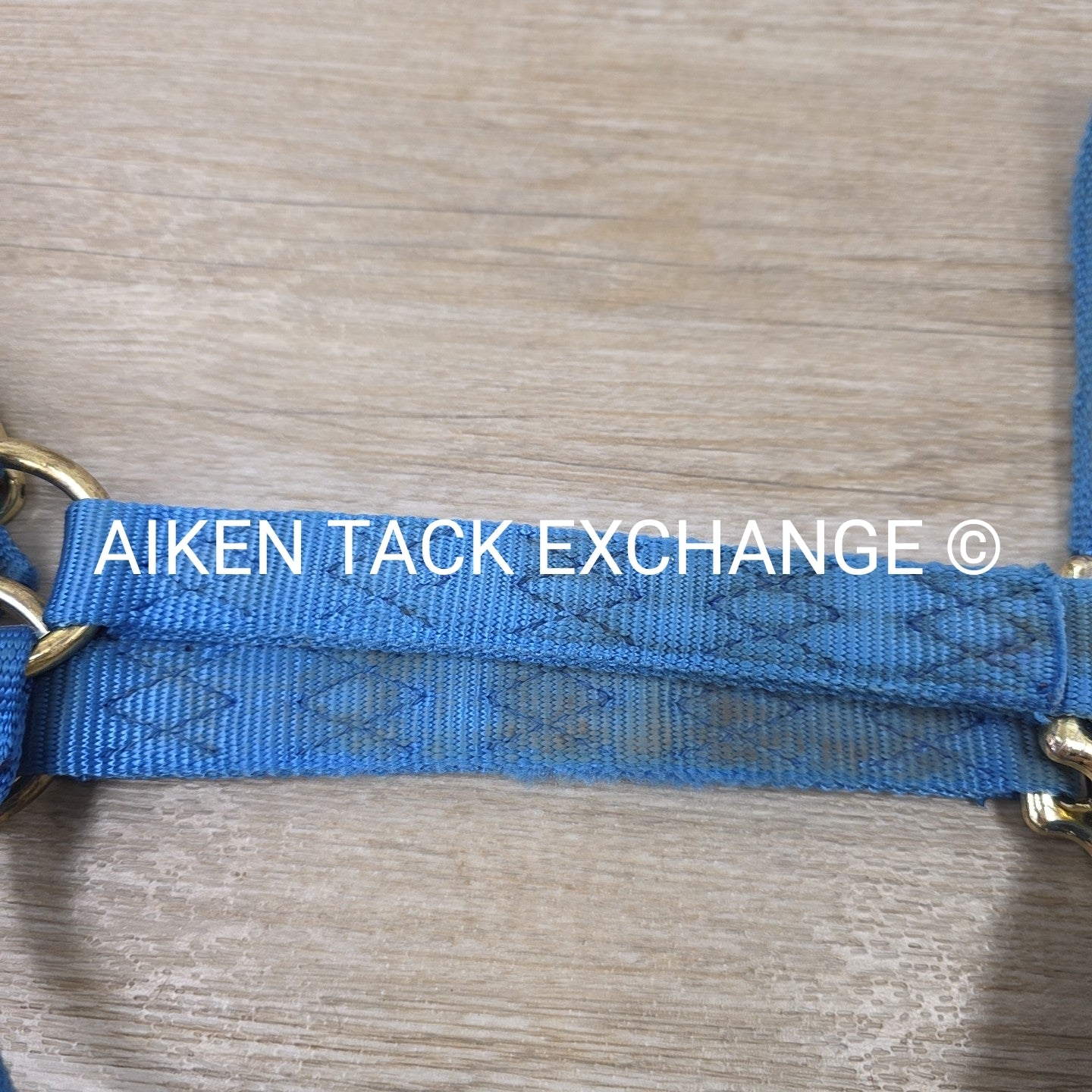 Nylon Breakaway Halter, Size Large