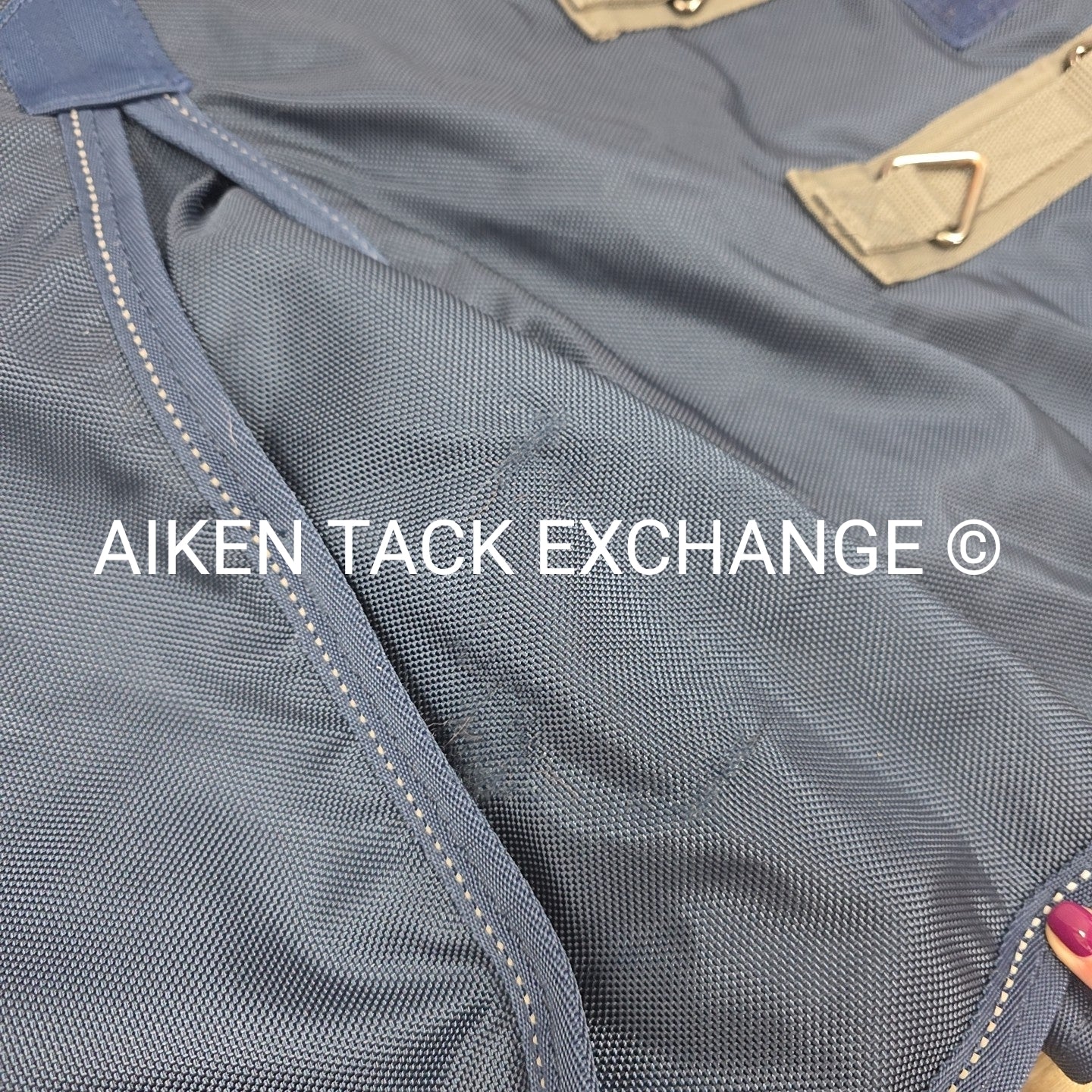 Dover Saddlery Riders International 0 G Fill Turnout Sheet, 84"