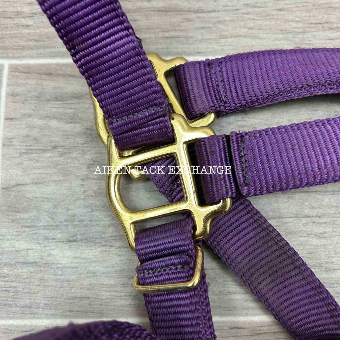 Dover Saddlery Heavy Nylon Halter, Oversize