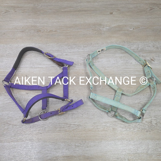 BARGAIN BUNDLE: 2 Weaver Leather Halters, Size Full