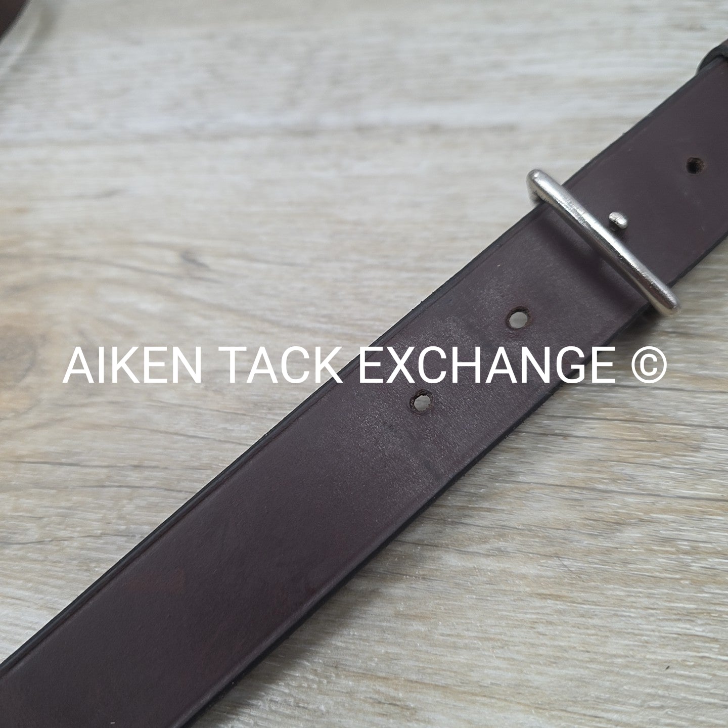 Horse Country First Flight Standing Martingale, Brown, Oversize