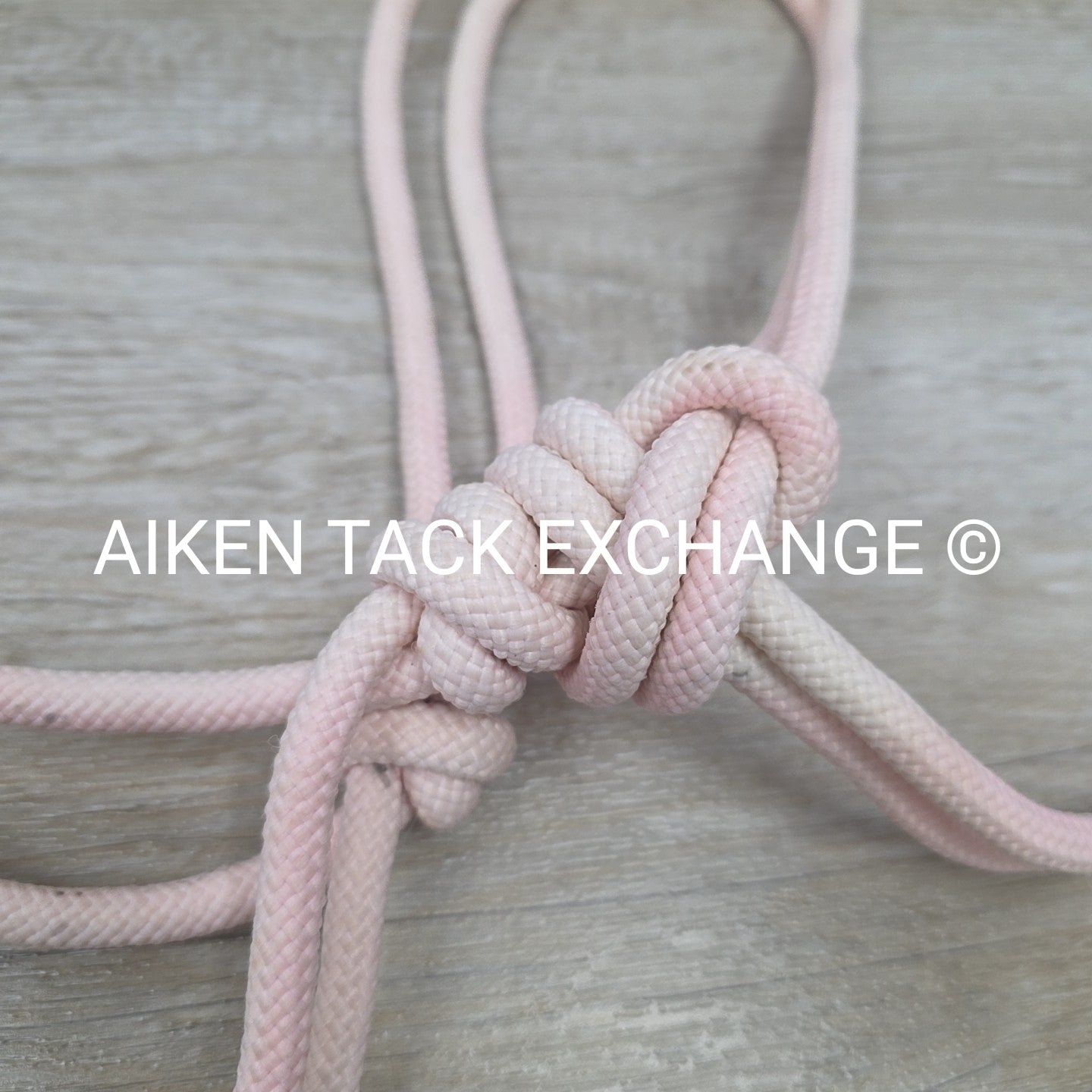 Rope Halter with Lead Rope
