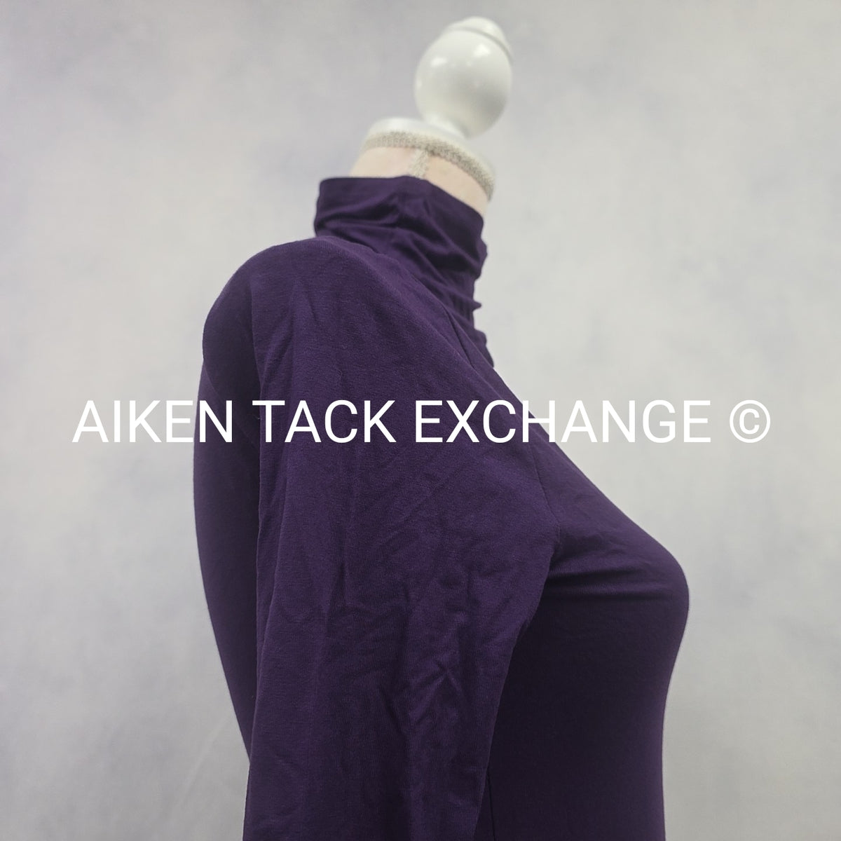 Venus Long Sleeve Dress, Size X-Small