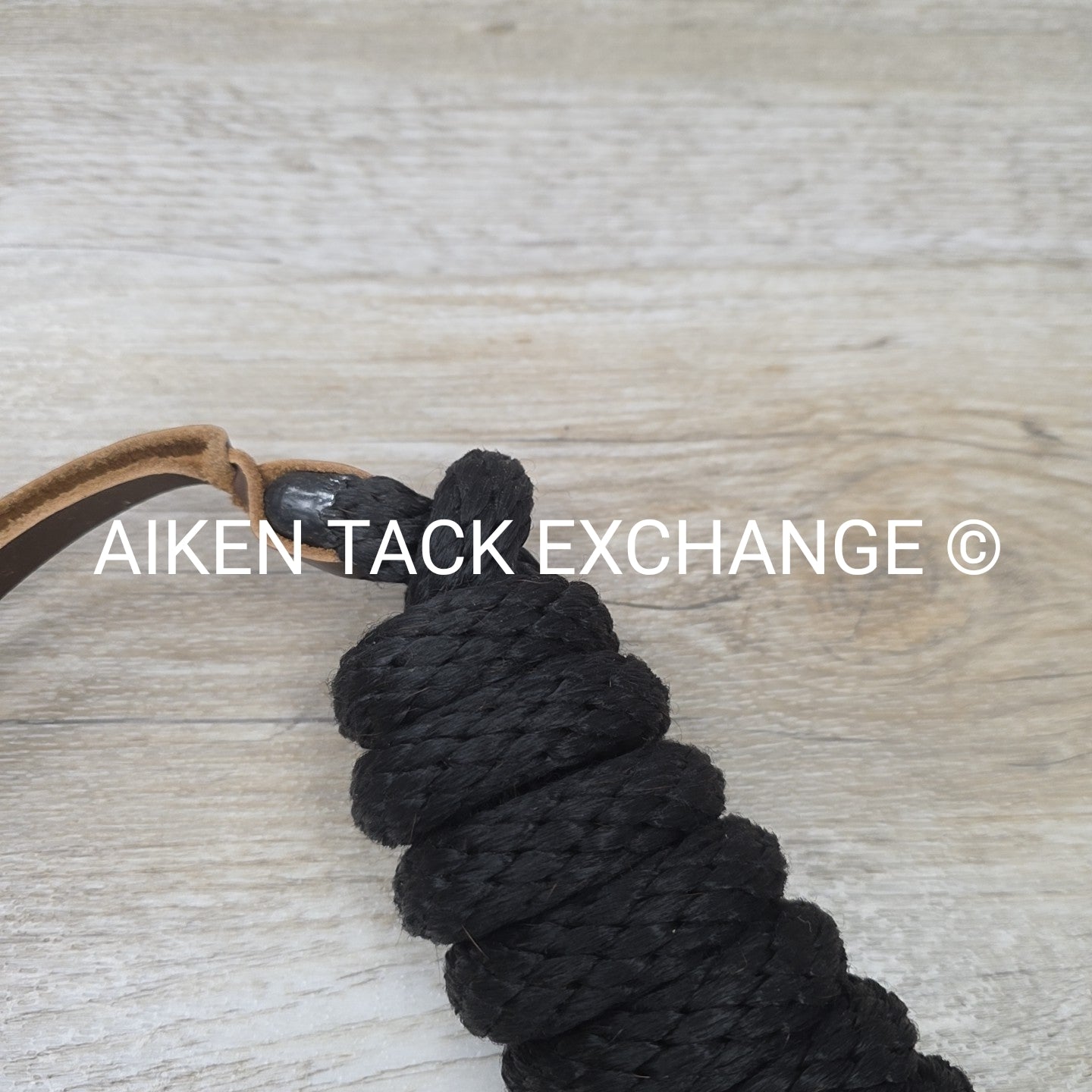 Weaver Leather Silvertip Tope Halter with Lead