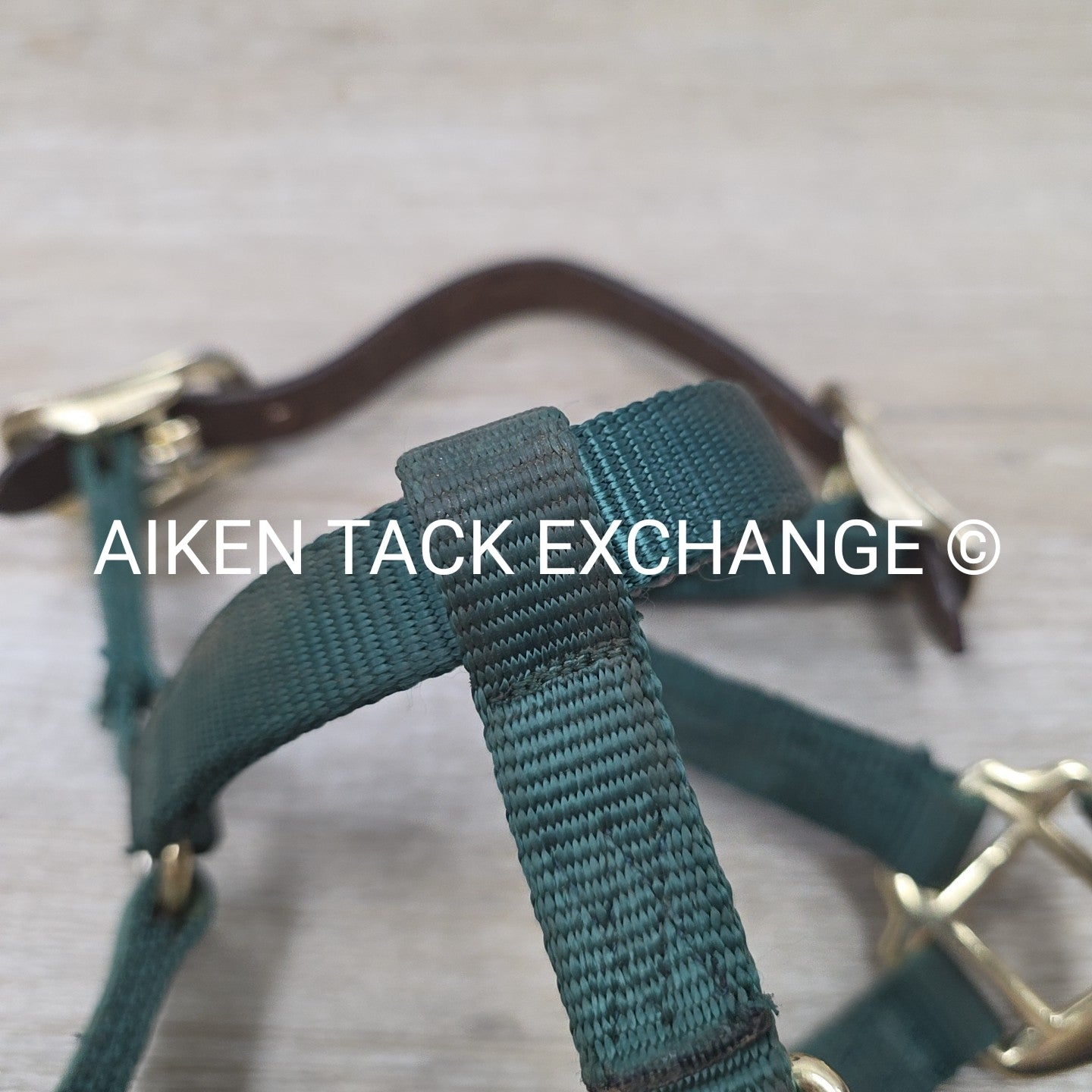 Hamilton Nylon Breakaway Halter, Size Foal