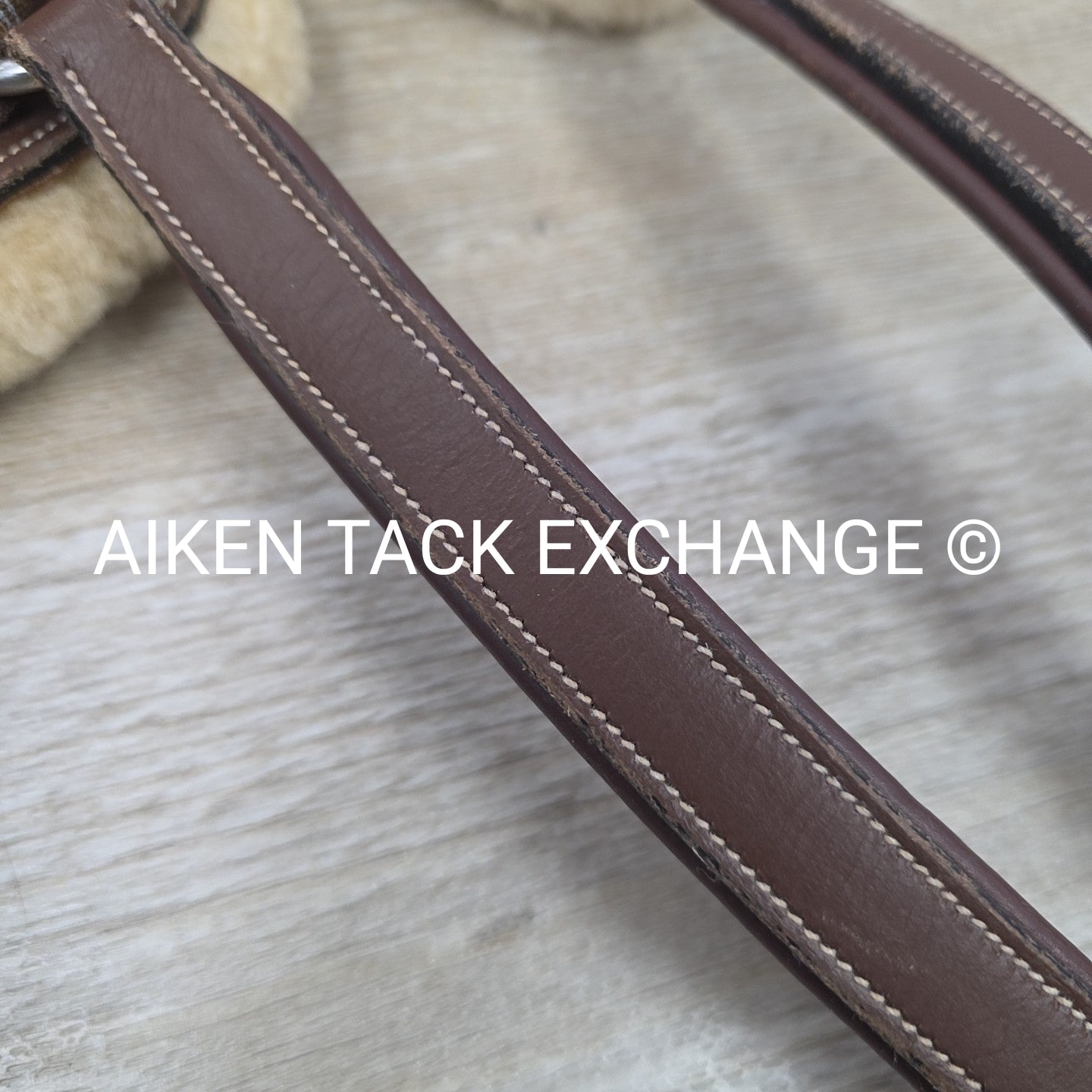 HDR Pro 5 Point Elastic Breastplate, Brown, Size Full