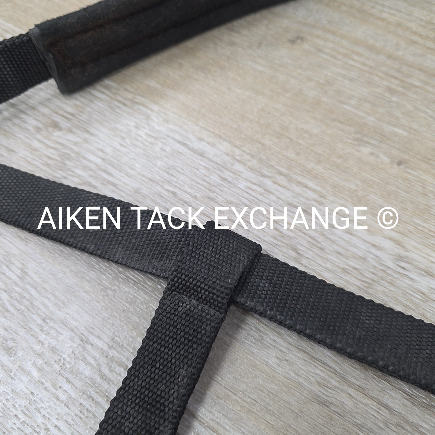 Eskadron Halter, Size Full