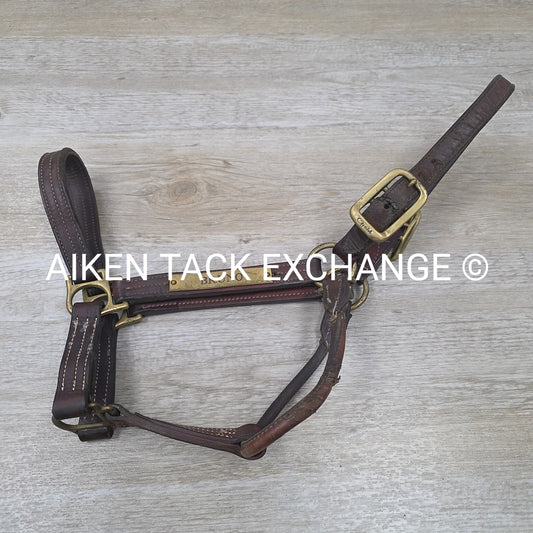 Walsh Triple Stitched Leather Halter, Has Name Plate, Size Cob