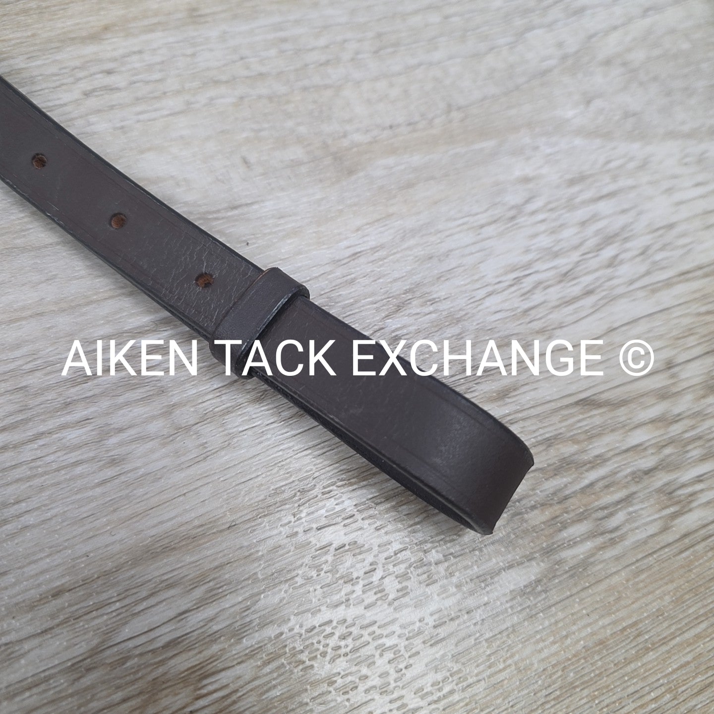 HDR Pro Raised Fancy Stitched Standing Martingale, Havana, Size Pony
