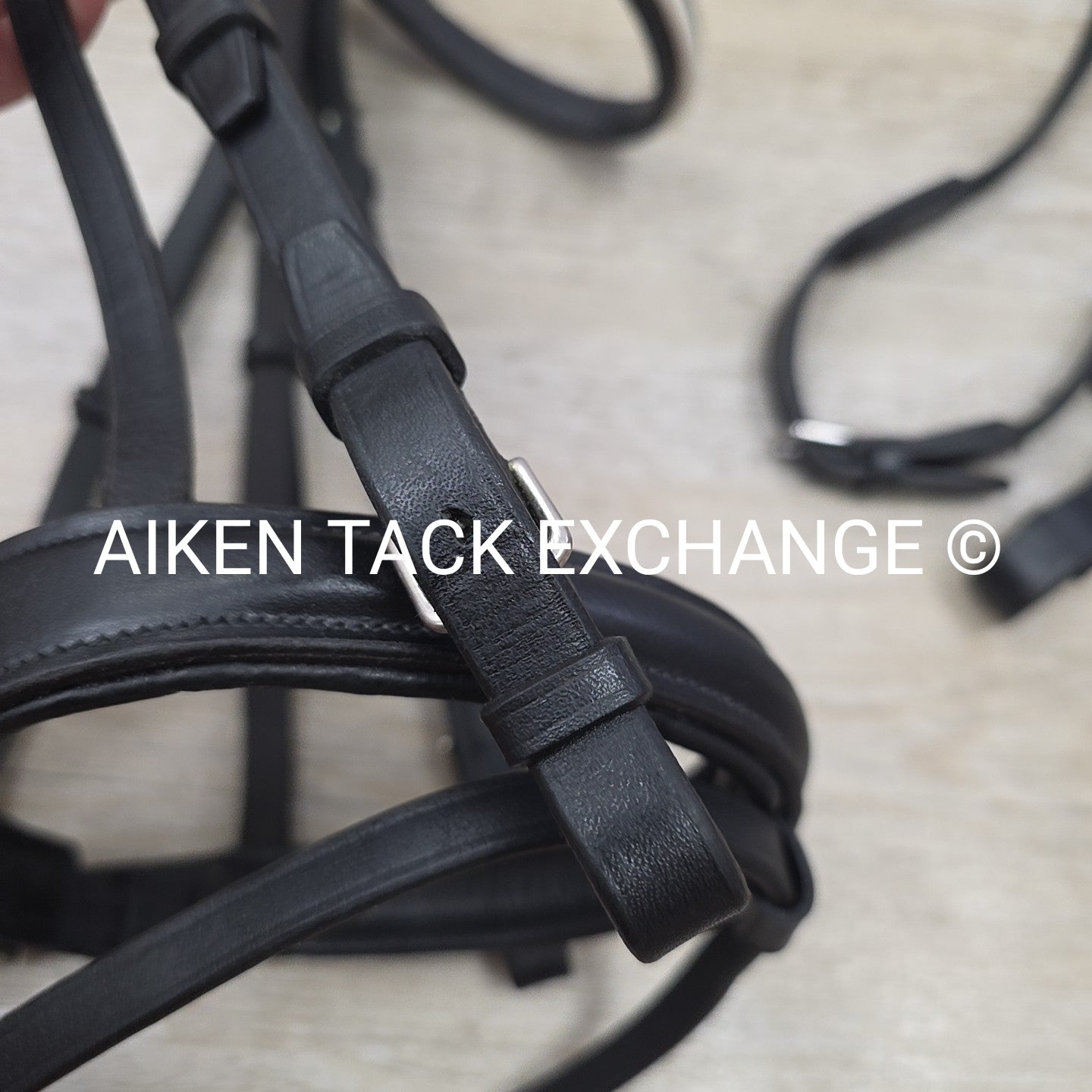 Passier Flash Bridle with Matching Cotton Web Reins, Black, Size Cob