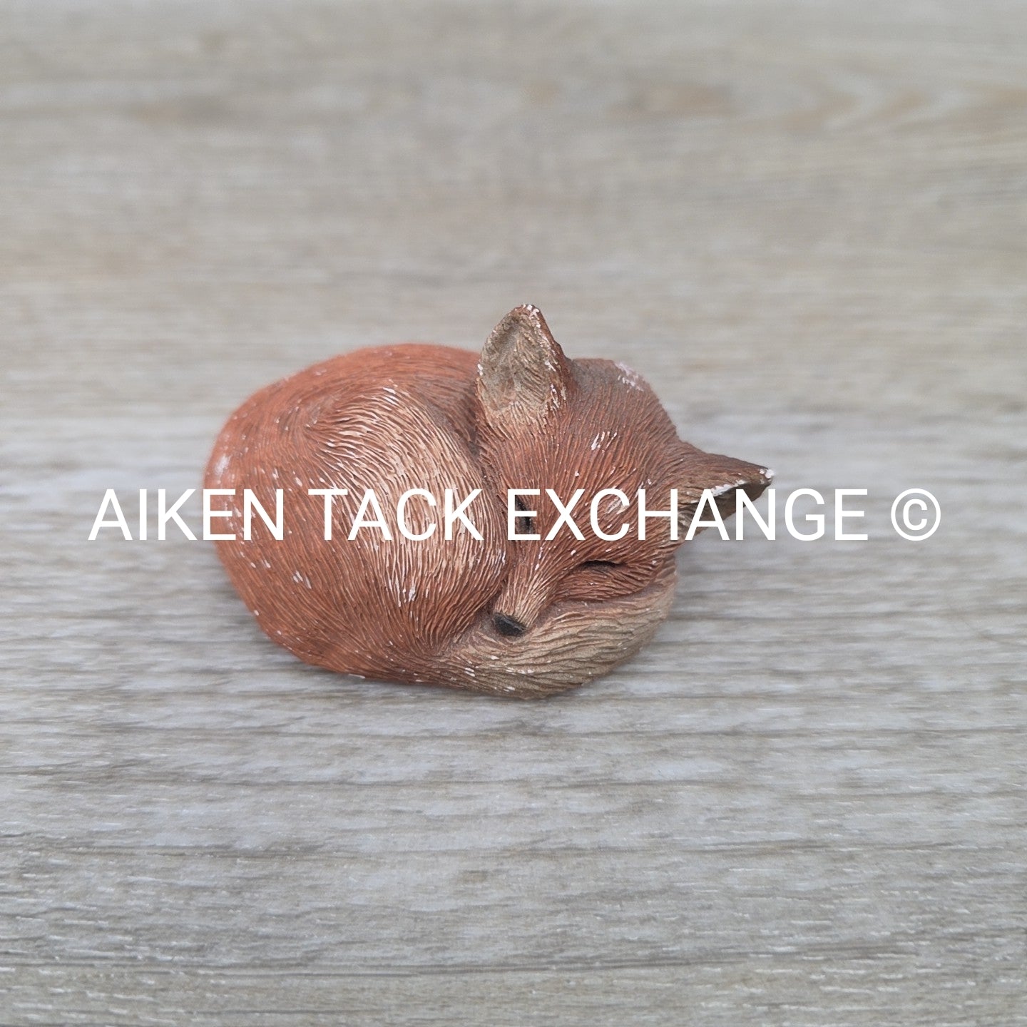 Sleeping Fox Sandicast