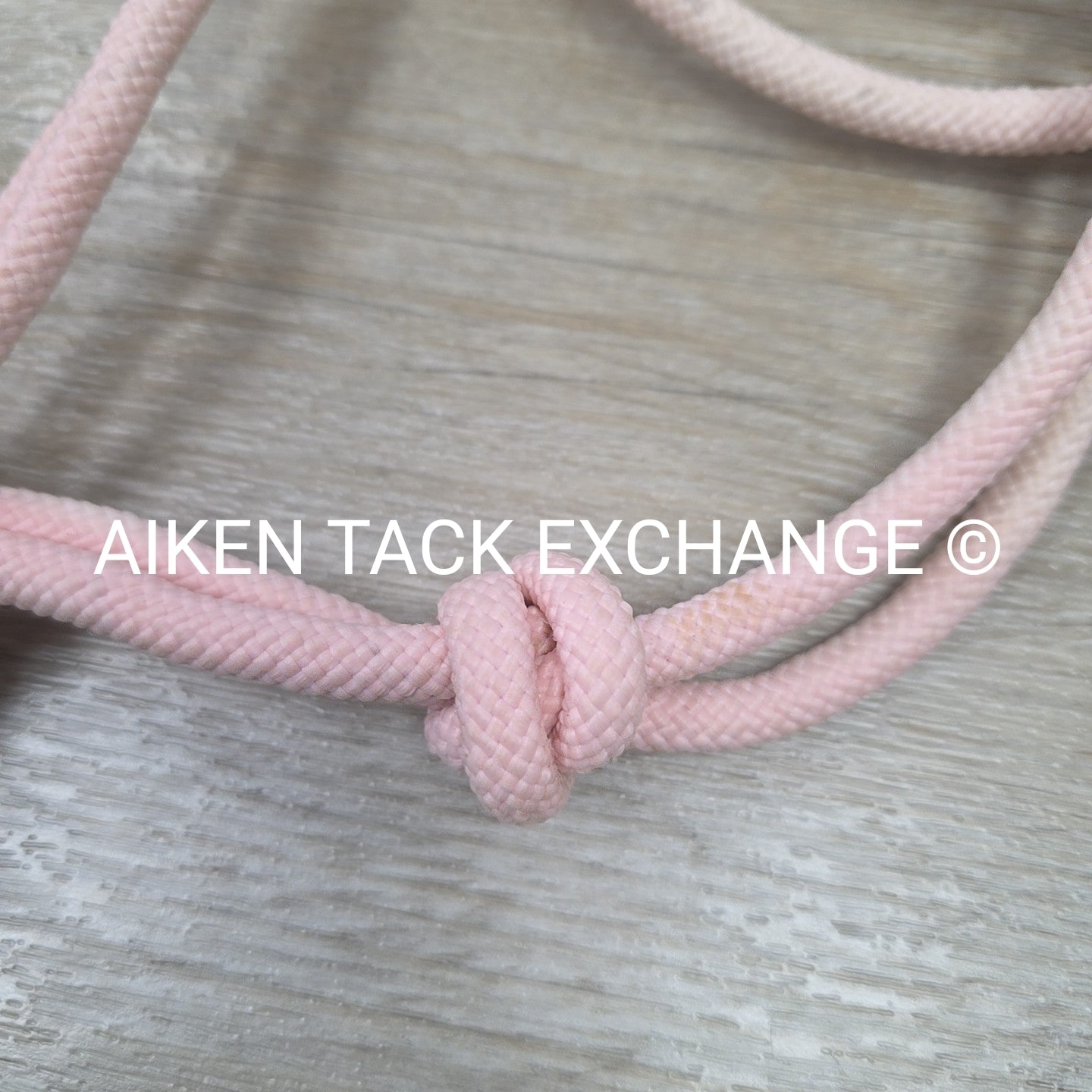 Rope Halter with Lead Rope