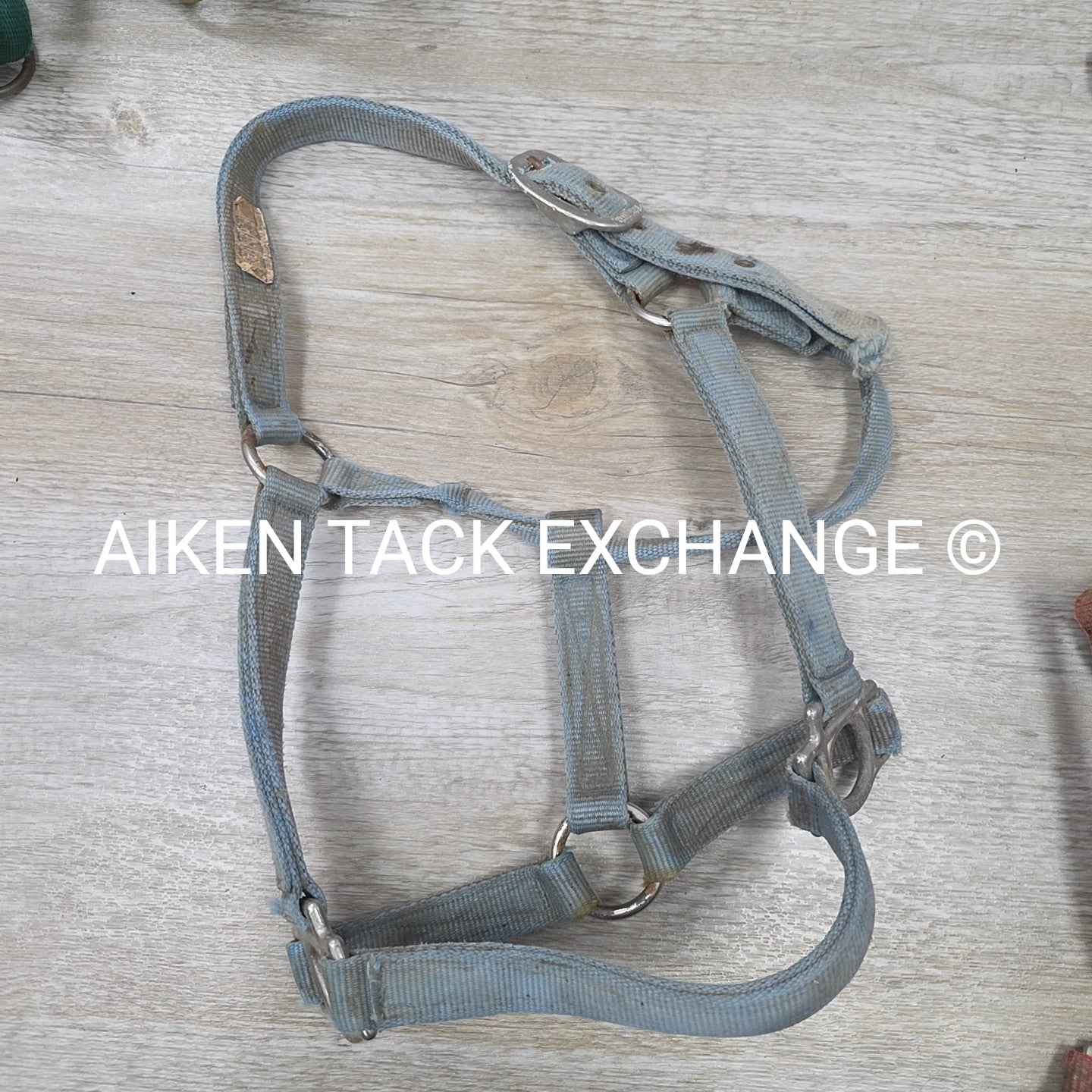 BARGAIN BUNDLE 5 Weaver Leather Nylon Halters, Size Horse