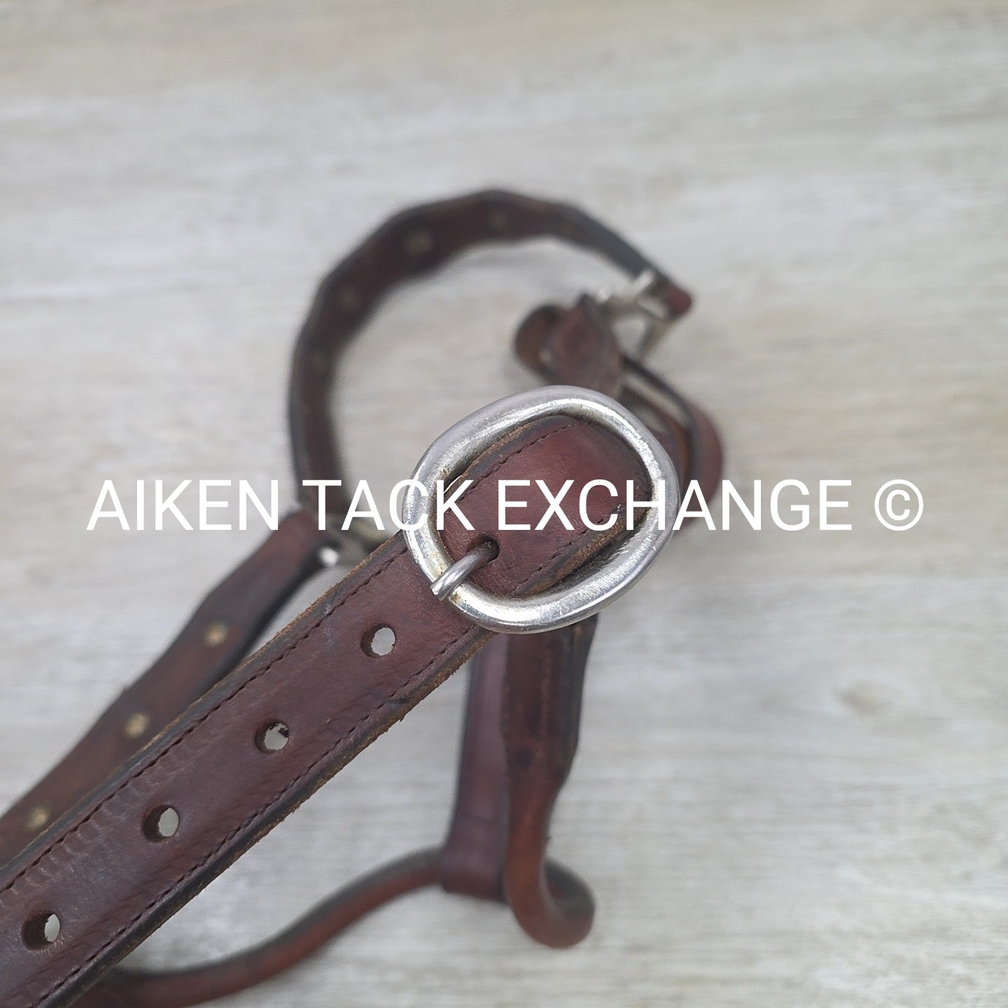 Western Show Halter, Size Full
