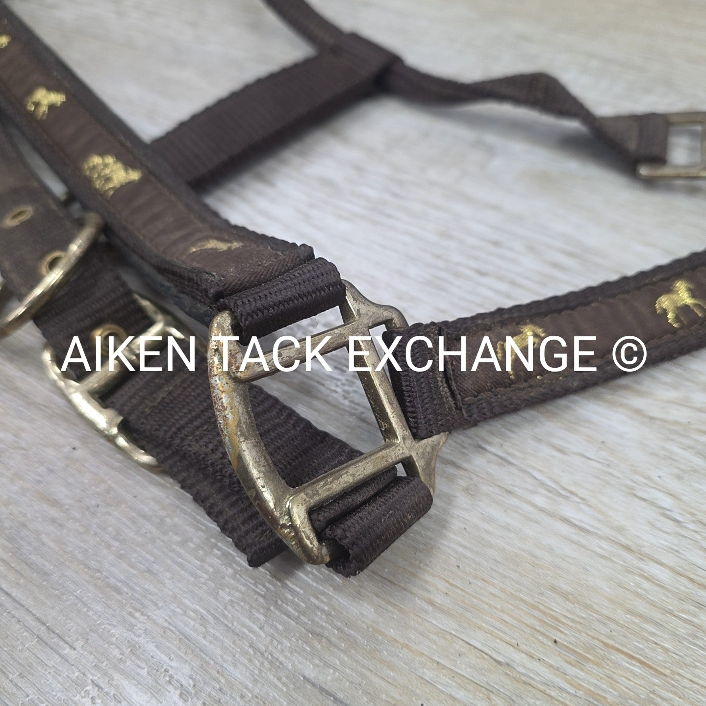 Nylon Halter, Size Cob