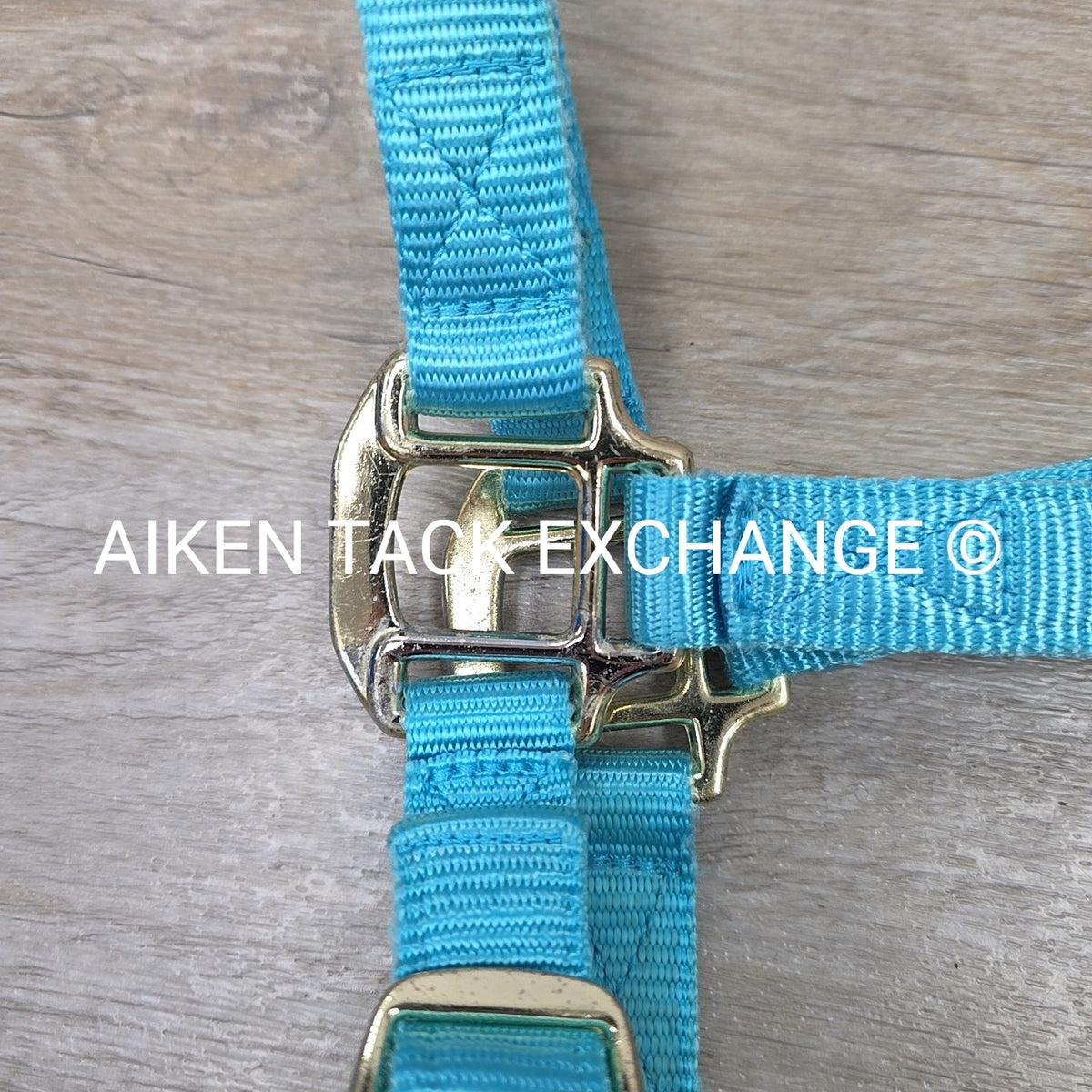 Nylon Halter, Size Cob