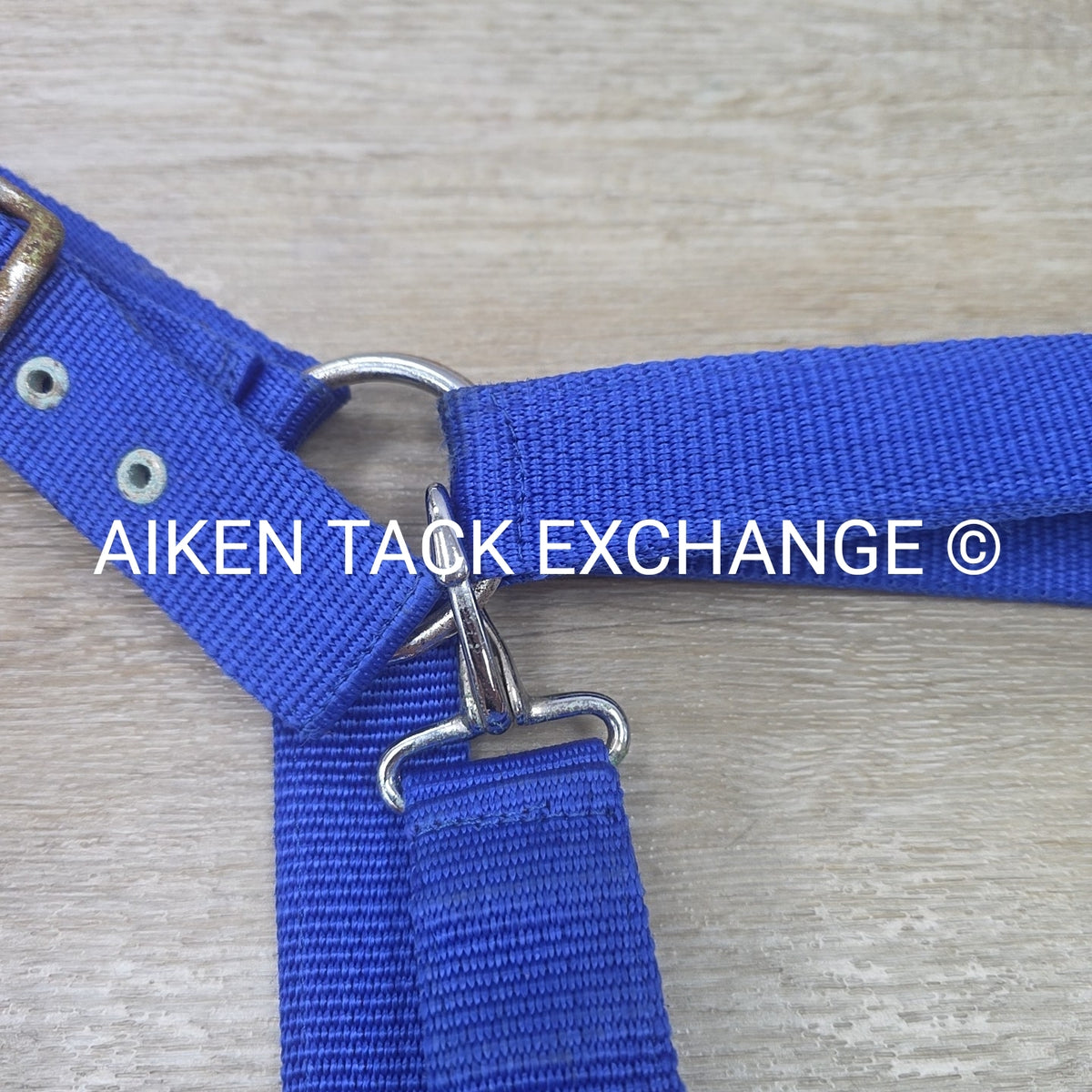 Nylon Halter, Draft