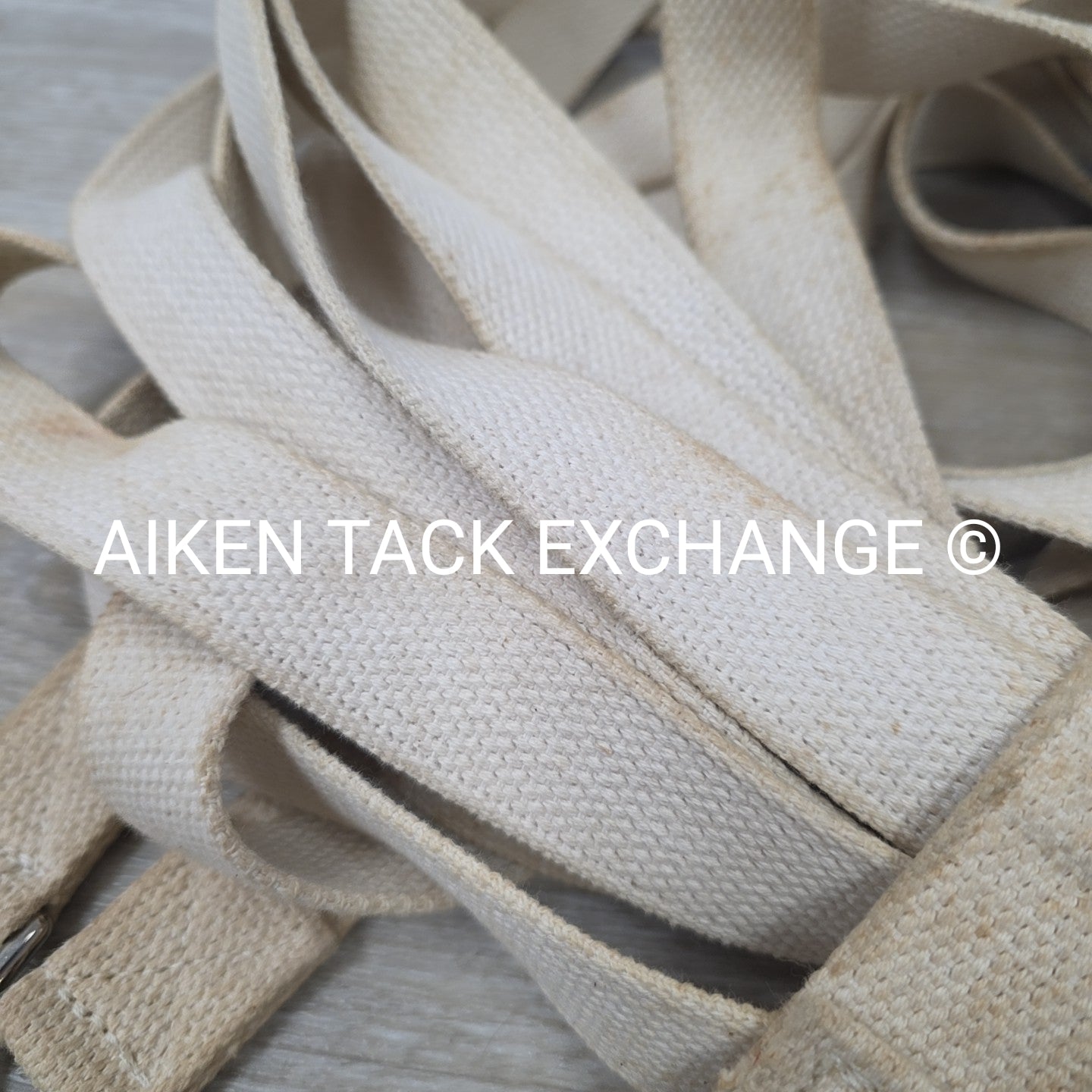 BARGAIN BUNDLE: Dover Saddlery Cotton Web Lunge Line with Chain & Stirrup Keeper