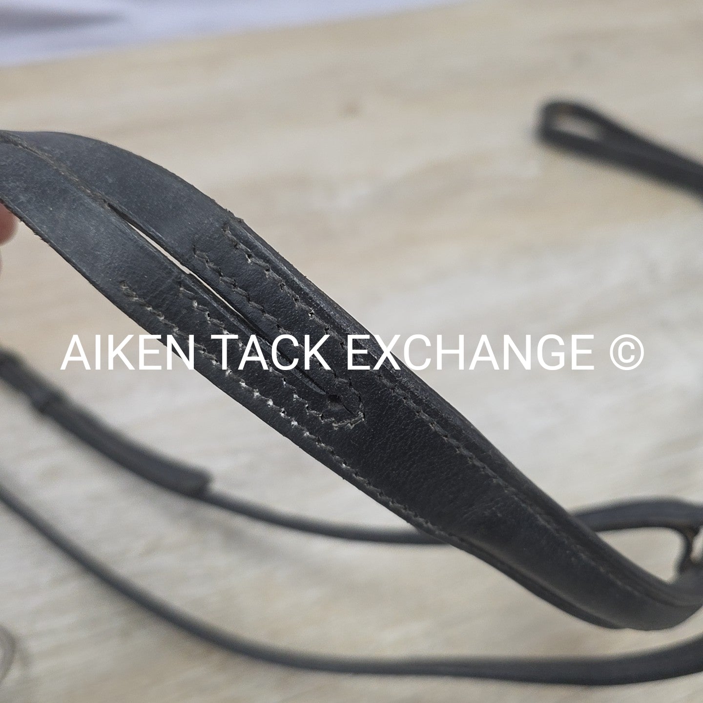 BARGAIN BUNDLE: Flash Bridle with Running Martingale, Black, Size Full