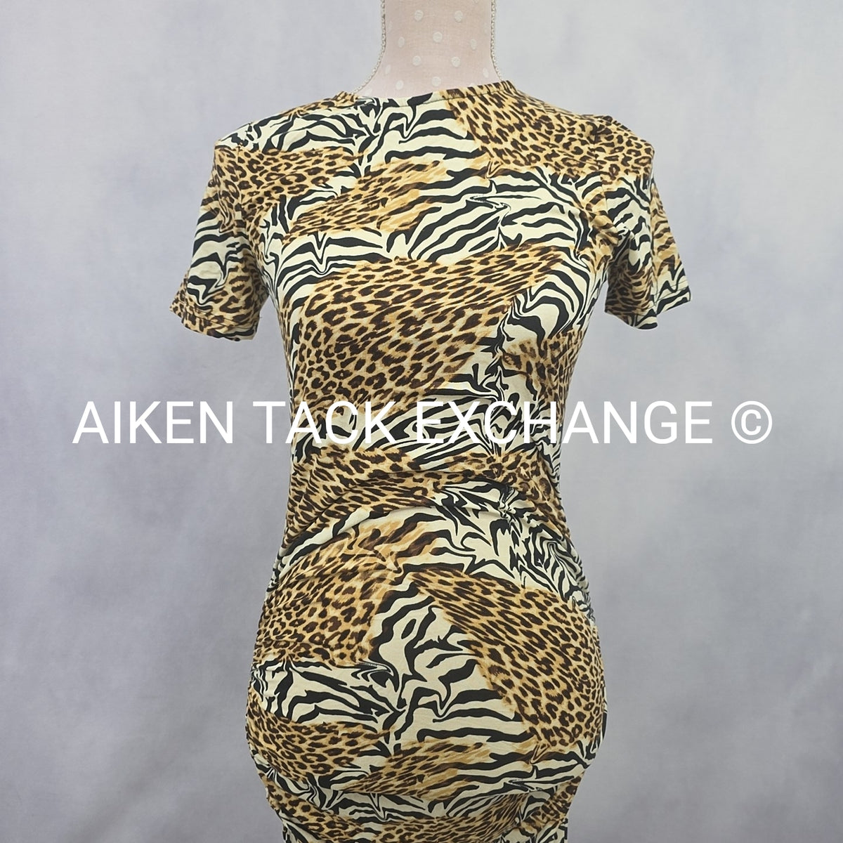 Venus Dress, Size X-Small