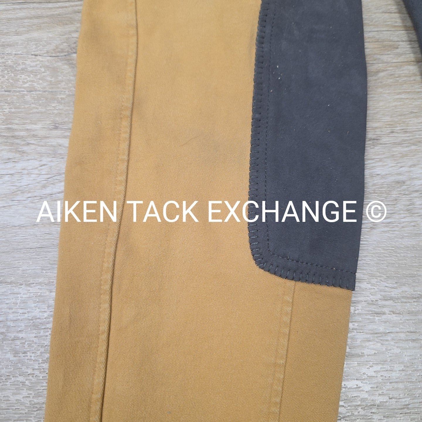 X-Dream by Euro Star Full Seat Breeches, Size 34 L