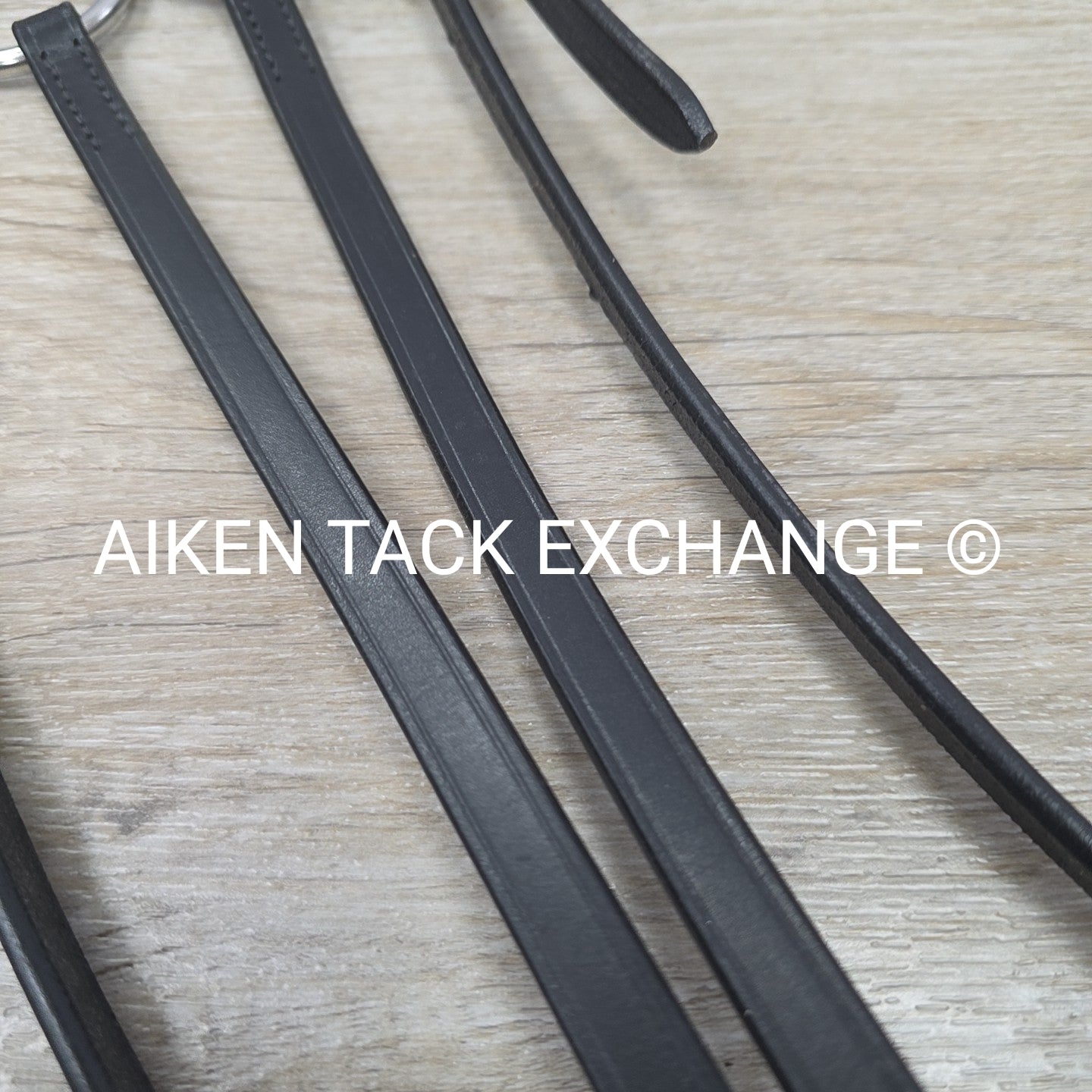 Plain Flat Running Martingale, Black, Size Full